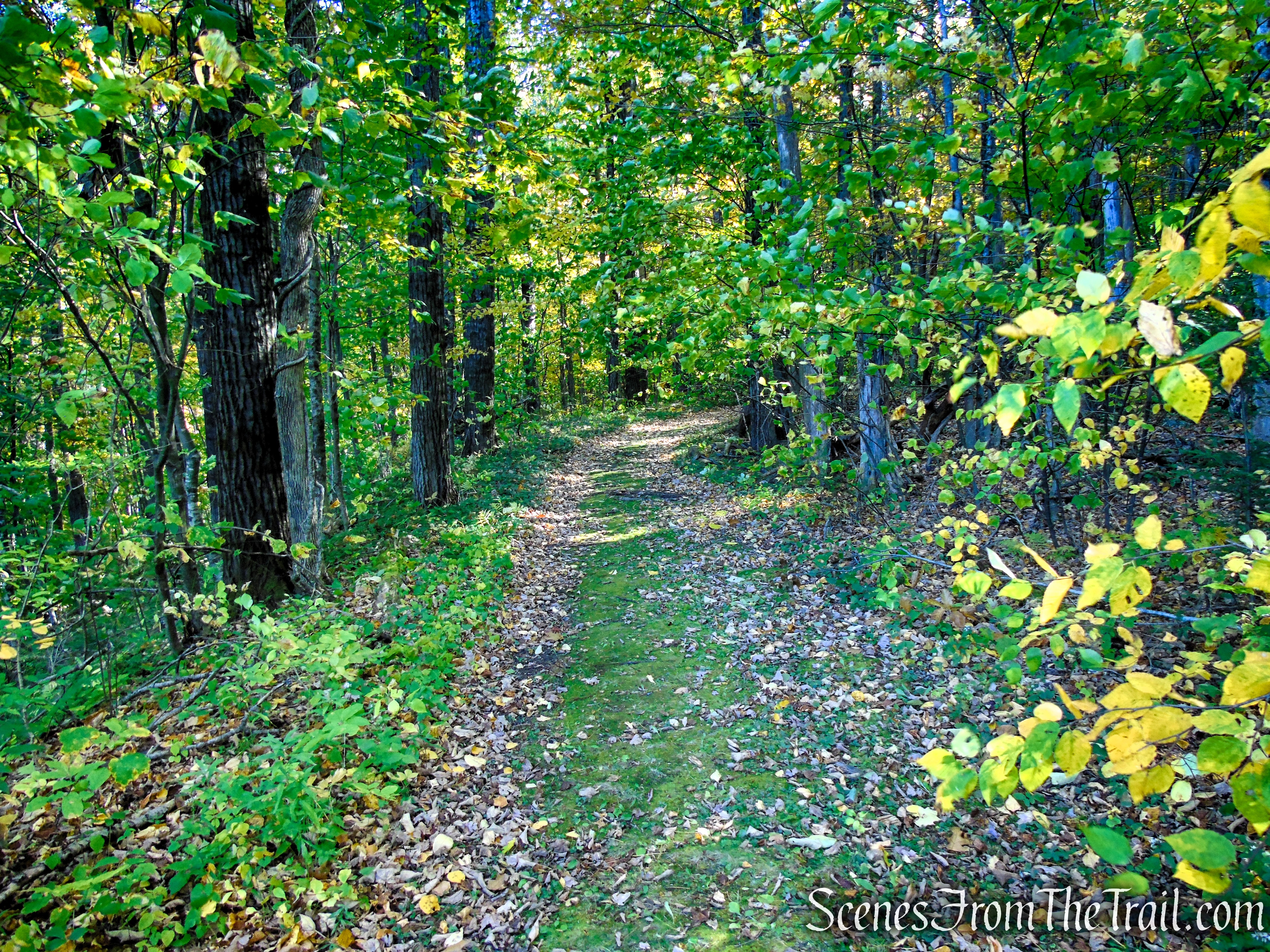 Spur Trail - Ashintully Gardens