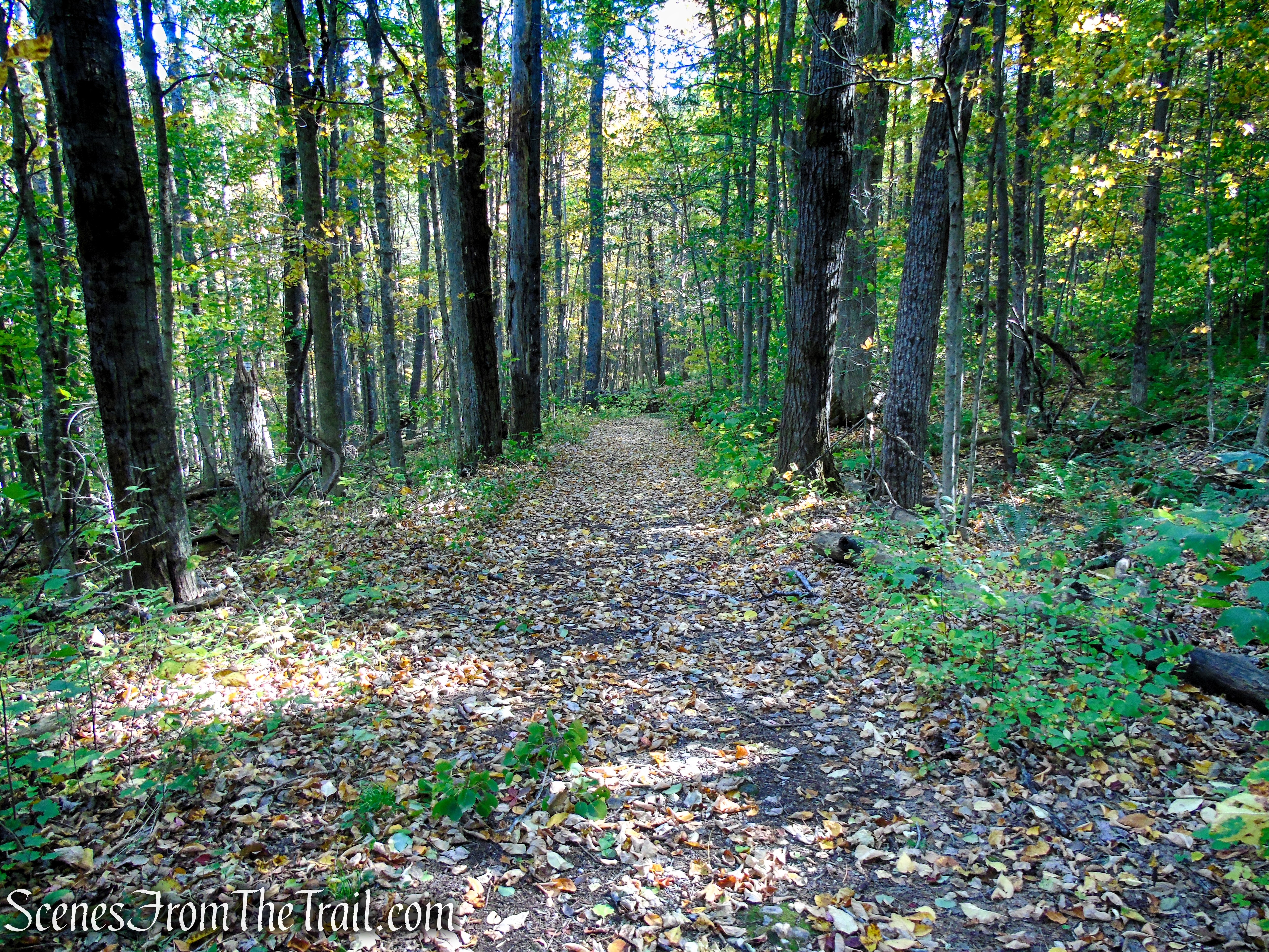 Ruins Trail - Ashintully Gardens