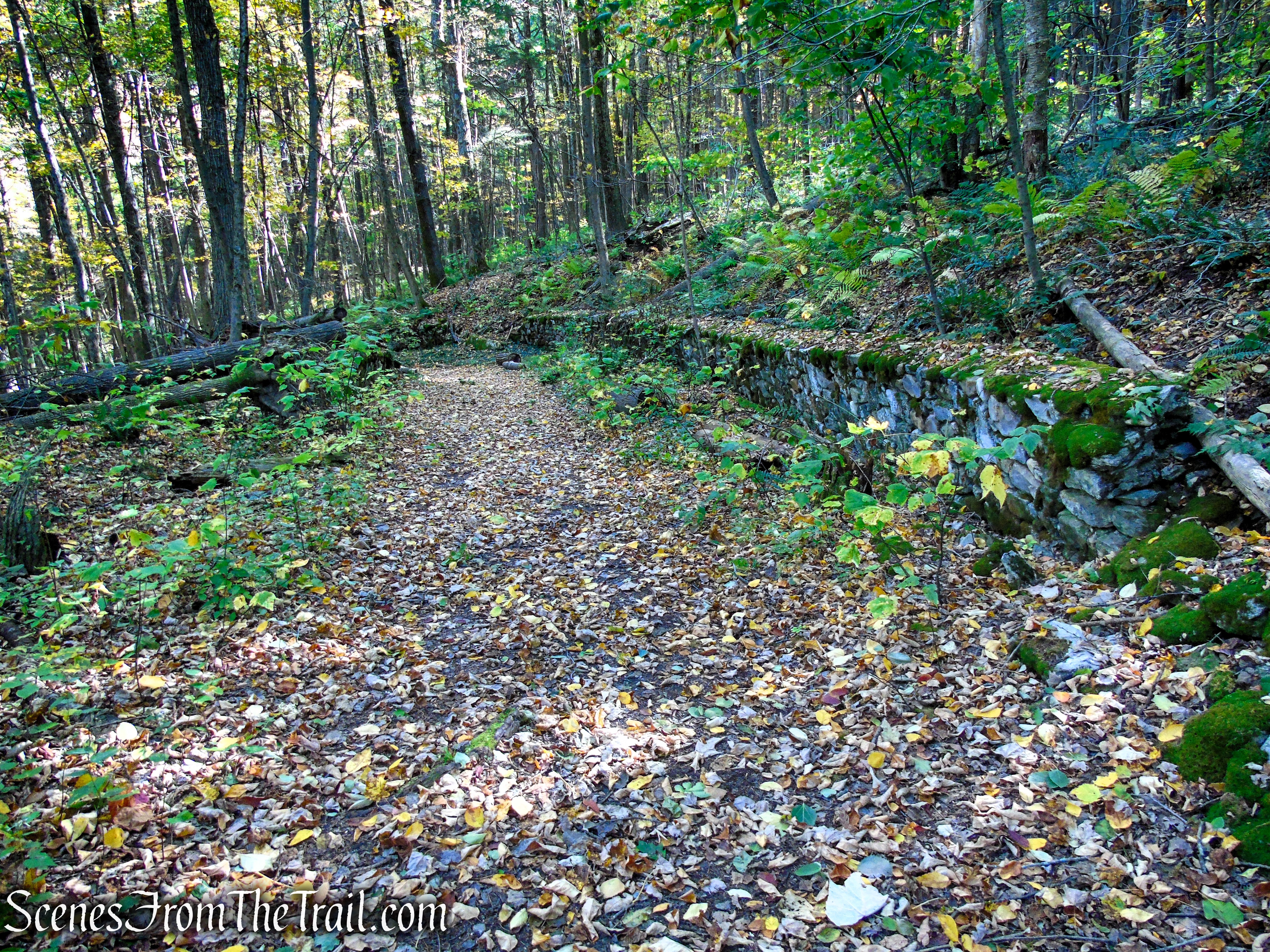 Ruins Trail - Ashintully Gardens