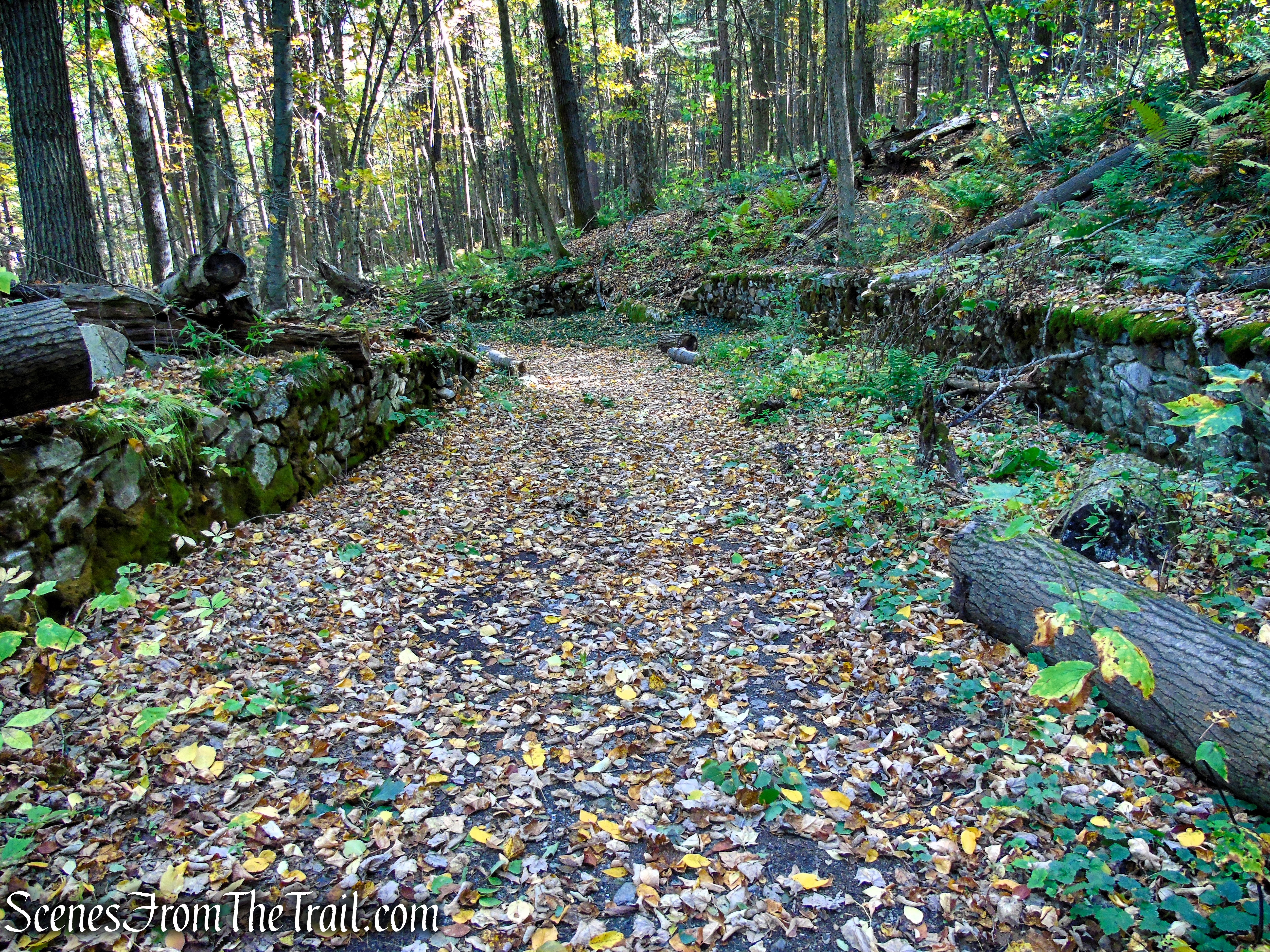 Ruins Trail – Ashintully Gardens