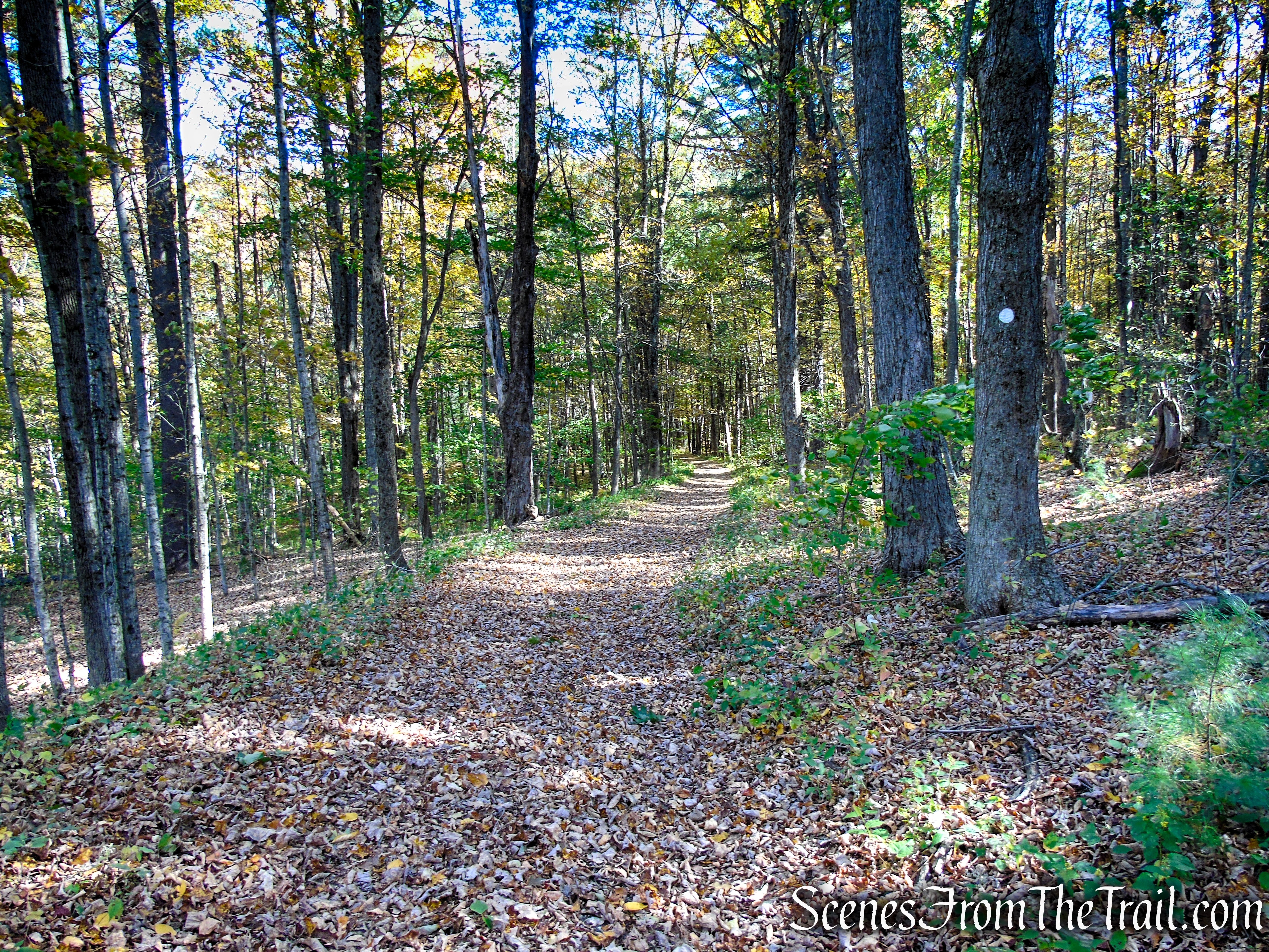 Ruins Trail – Ashintully Gardens