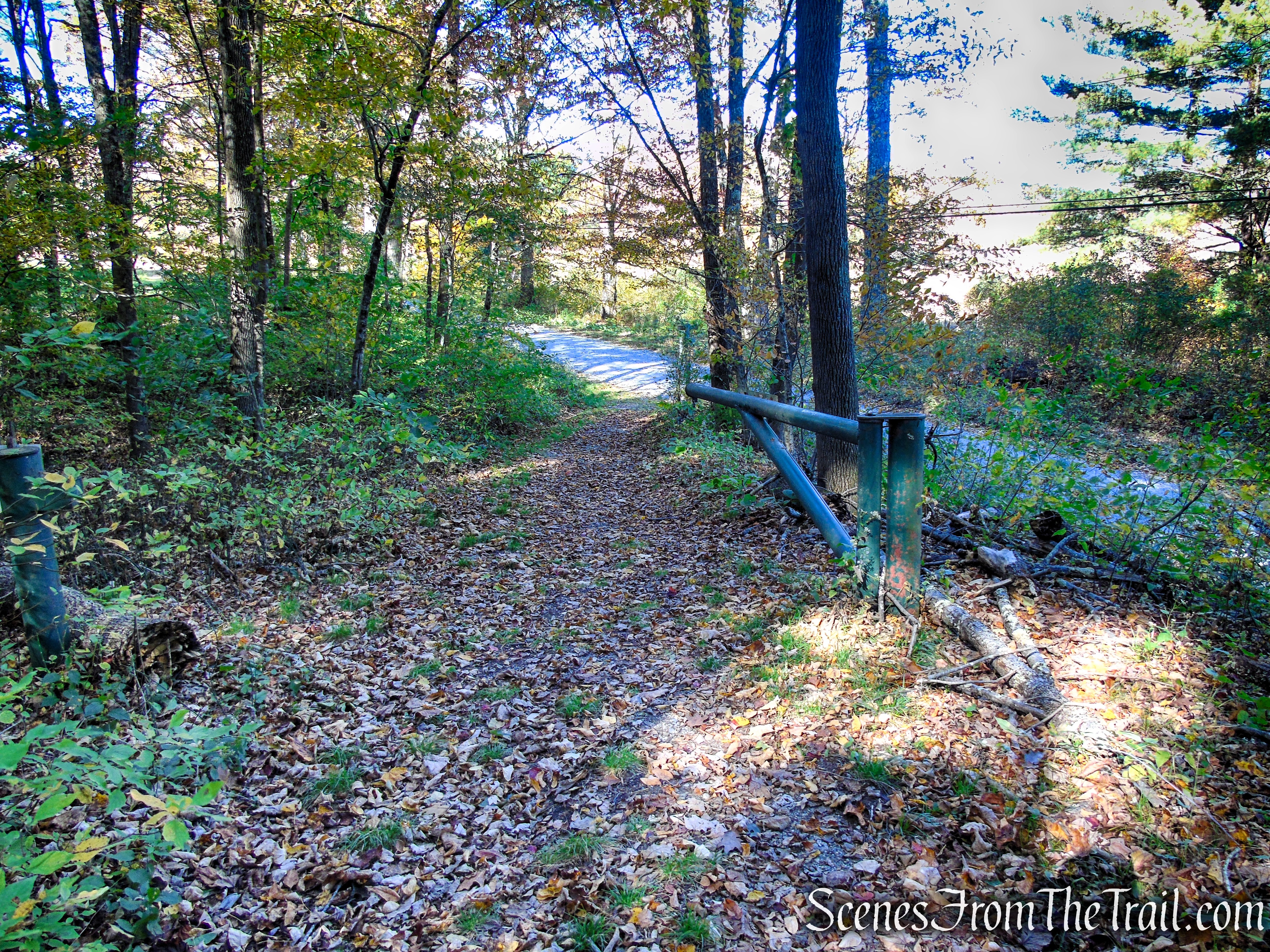 Ruins Trail – Ashintully Gardens