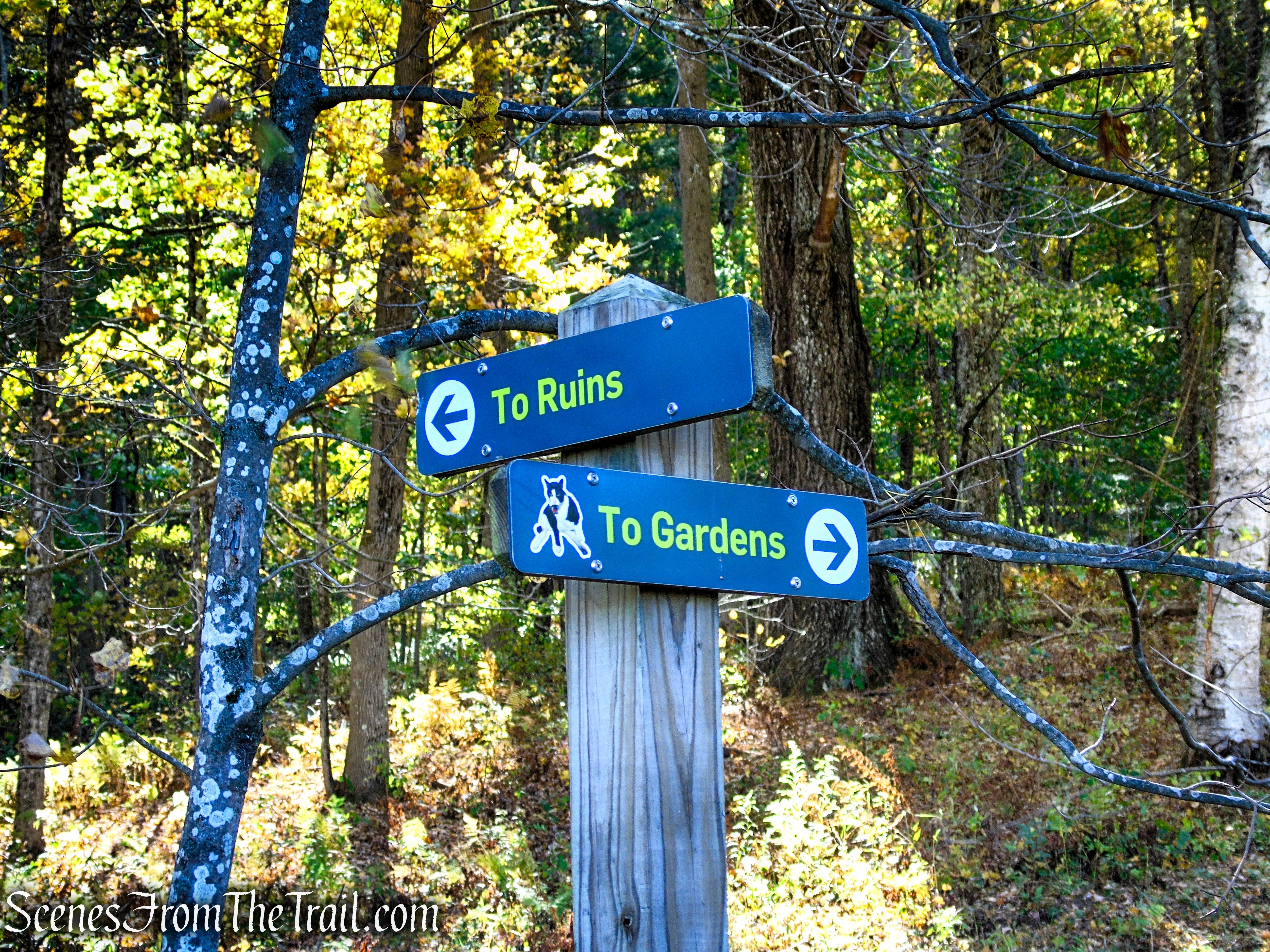 Mowed Path – Ashintully Gardens