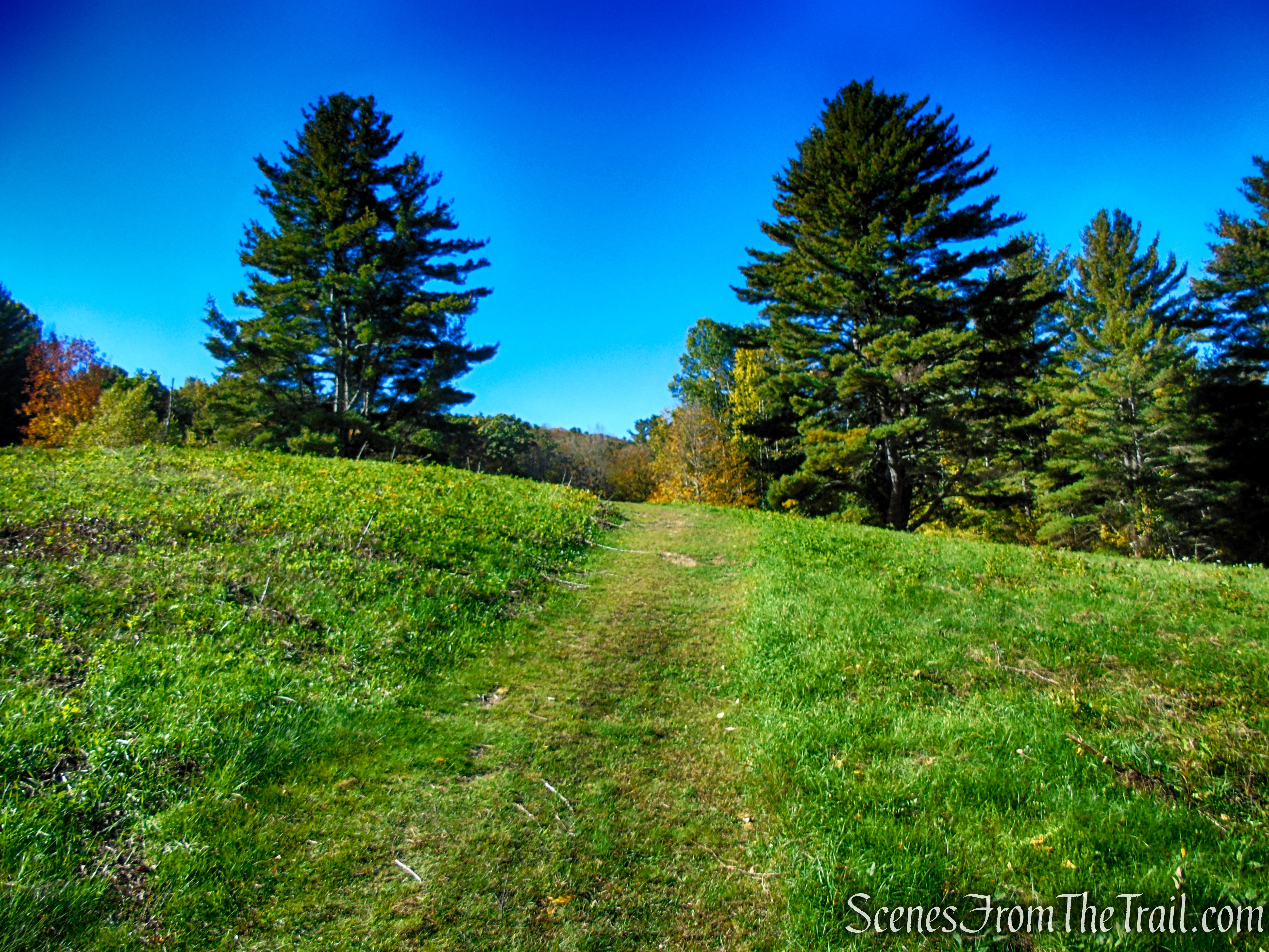 Mowed Path – Ashintully Gardens