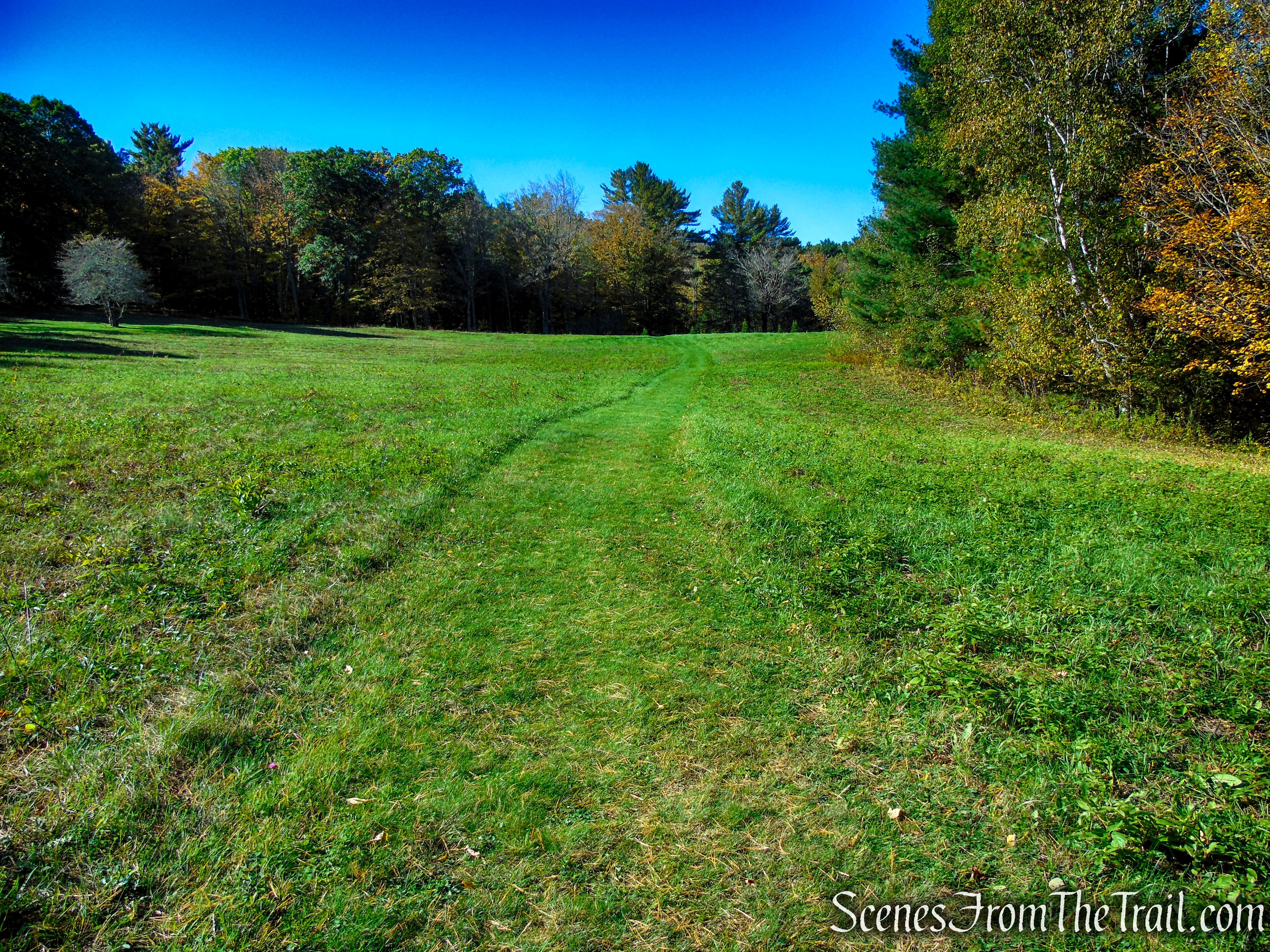 Mowed Path – Ashintully Gardens