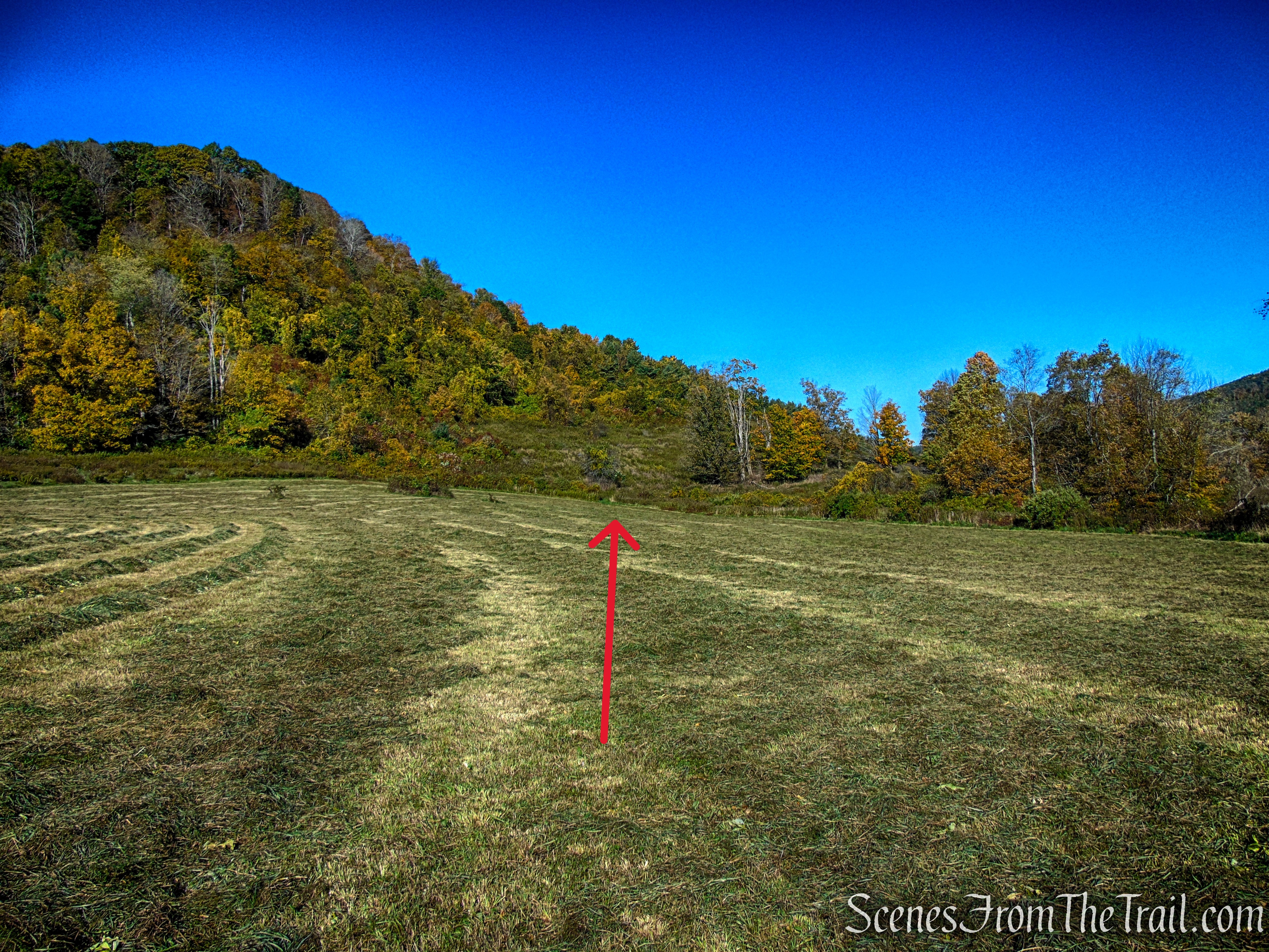 Cobble Loop Trail