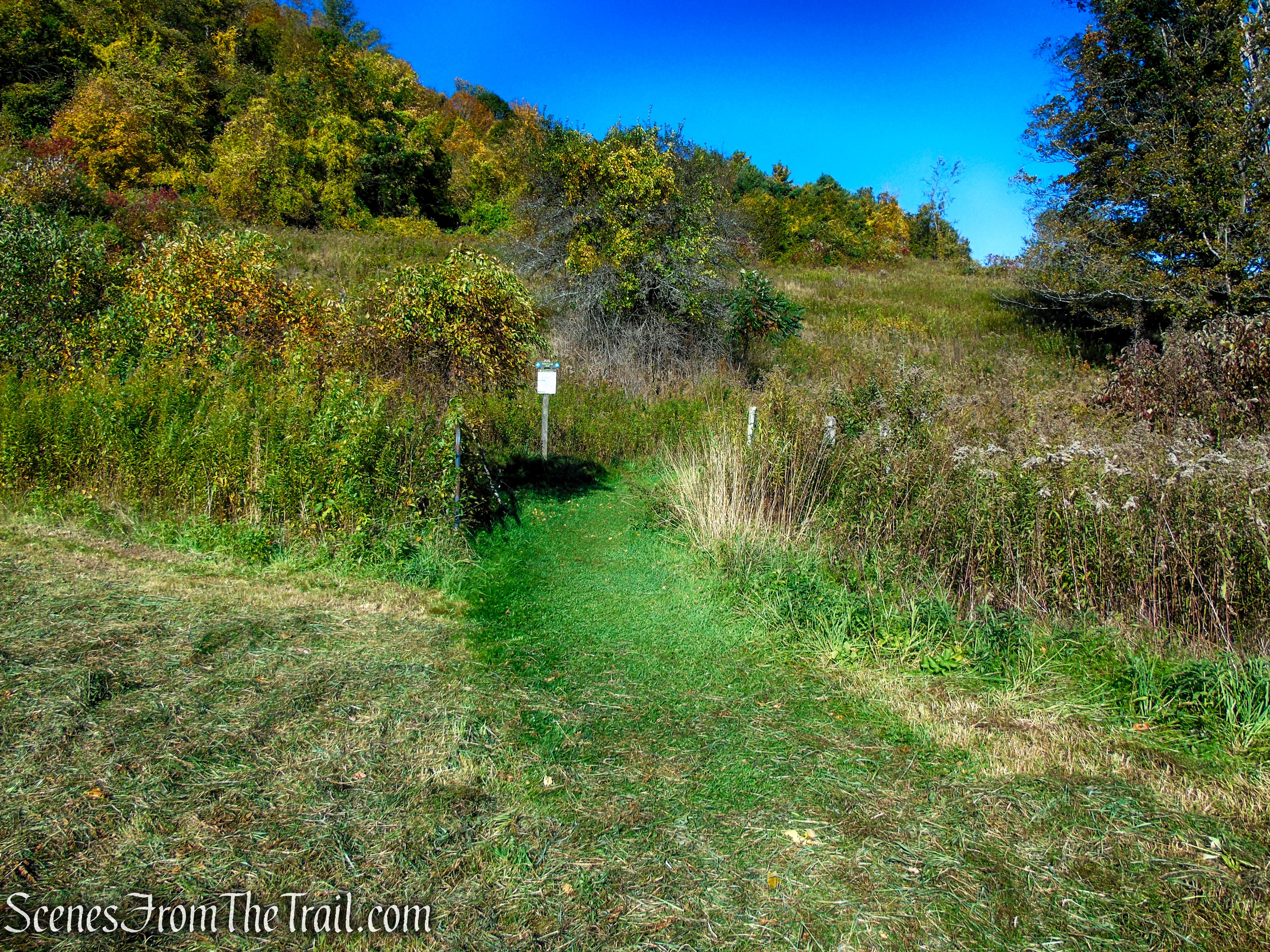 Cobble Loop Trail