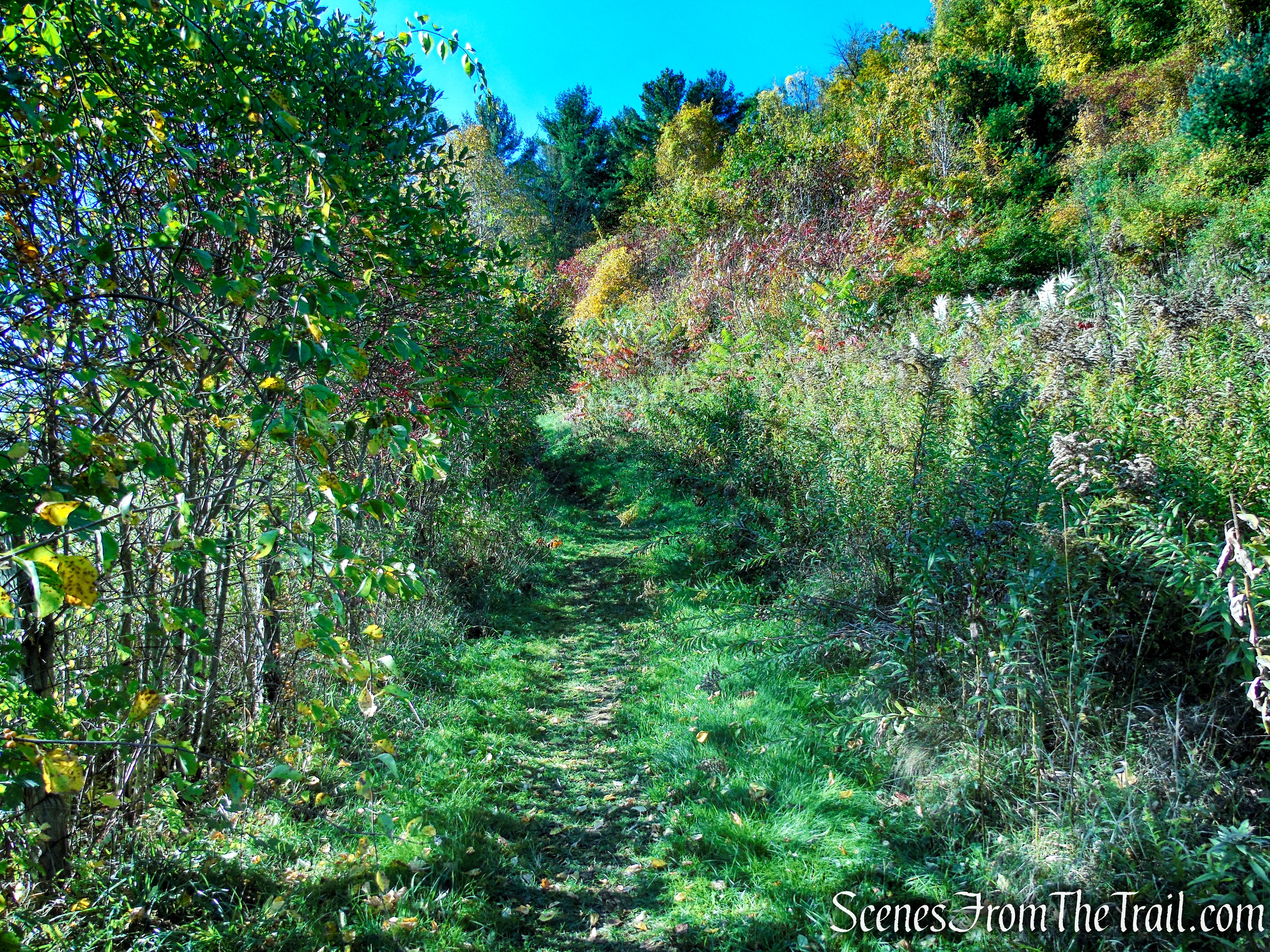 Cobble Loop Trail