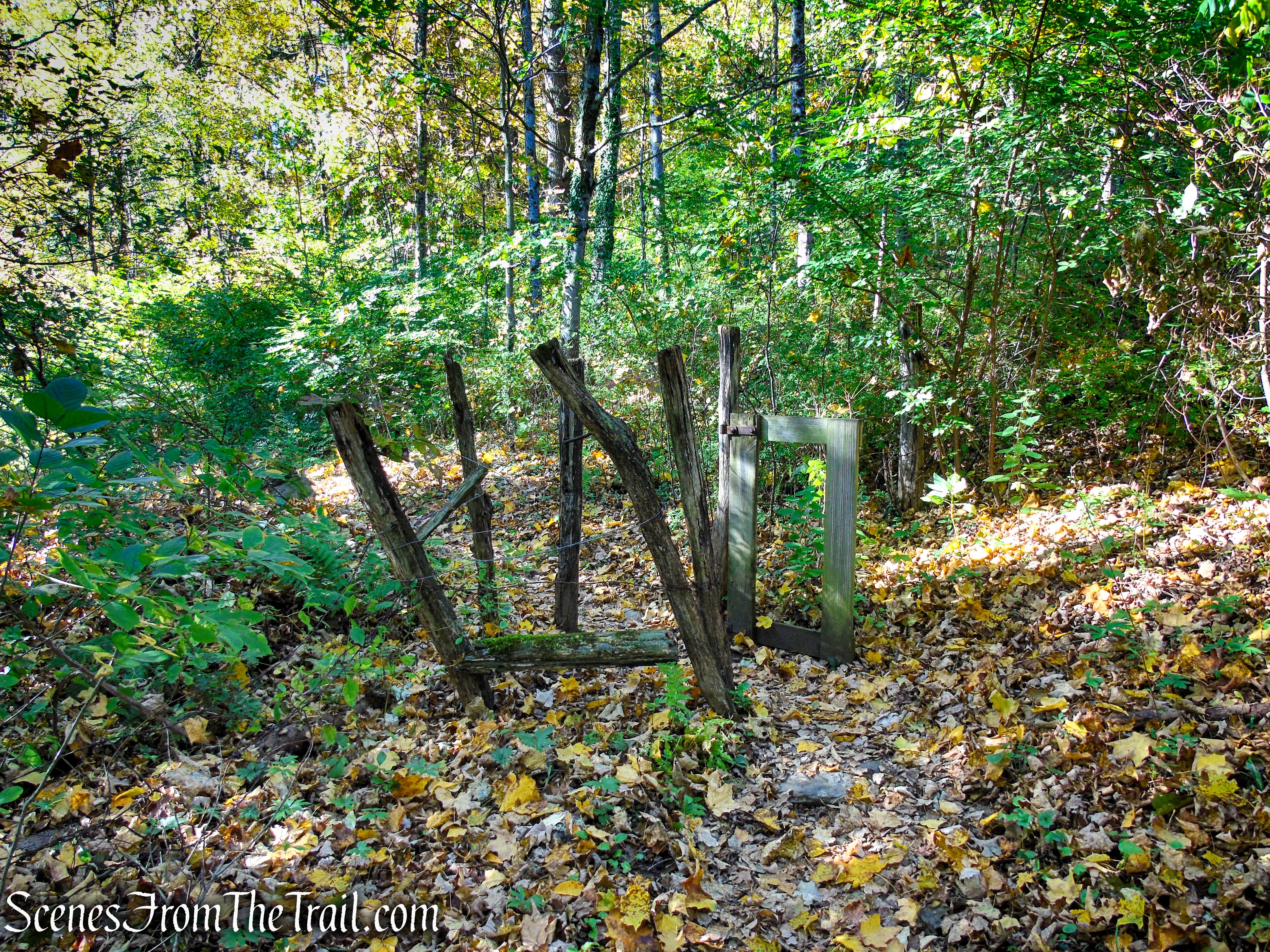Cobble Loop Trail