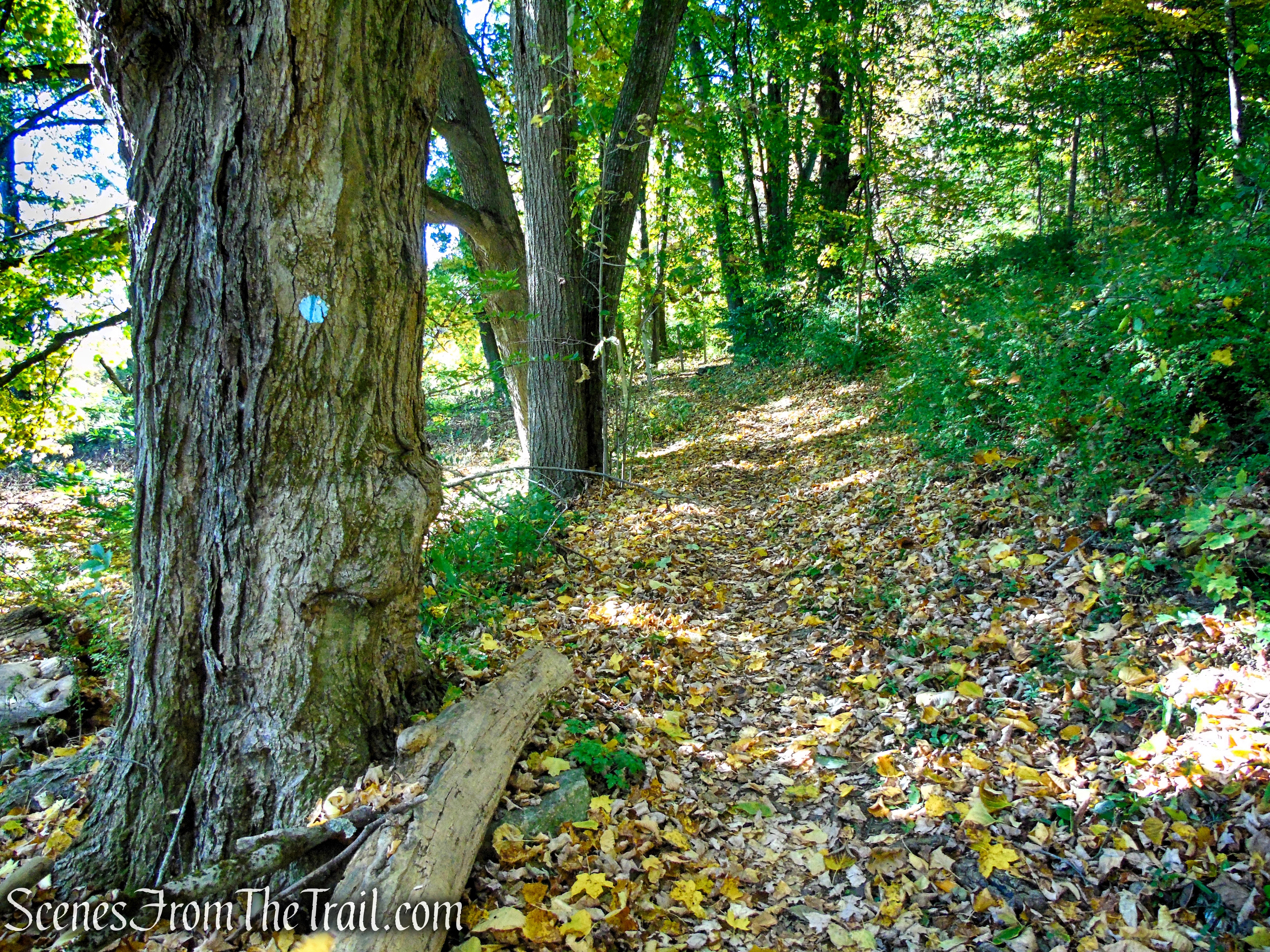 Cobble Loop Trail