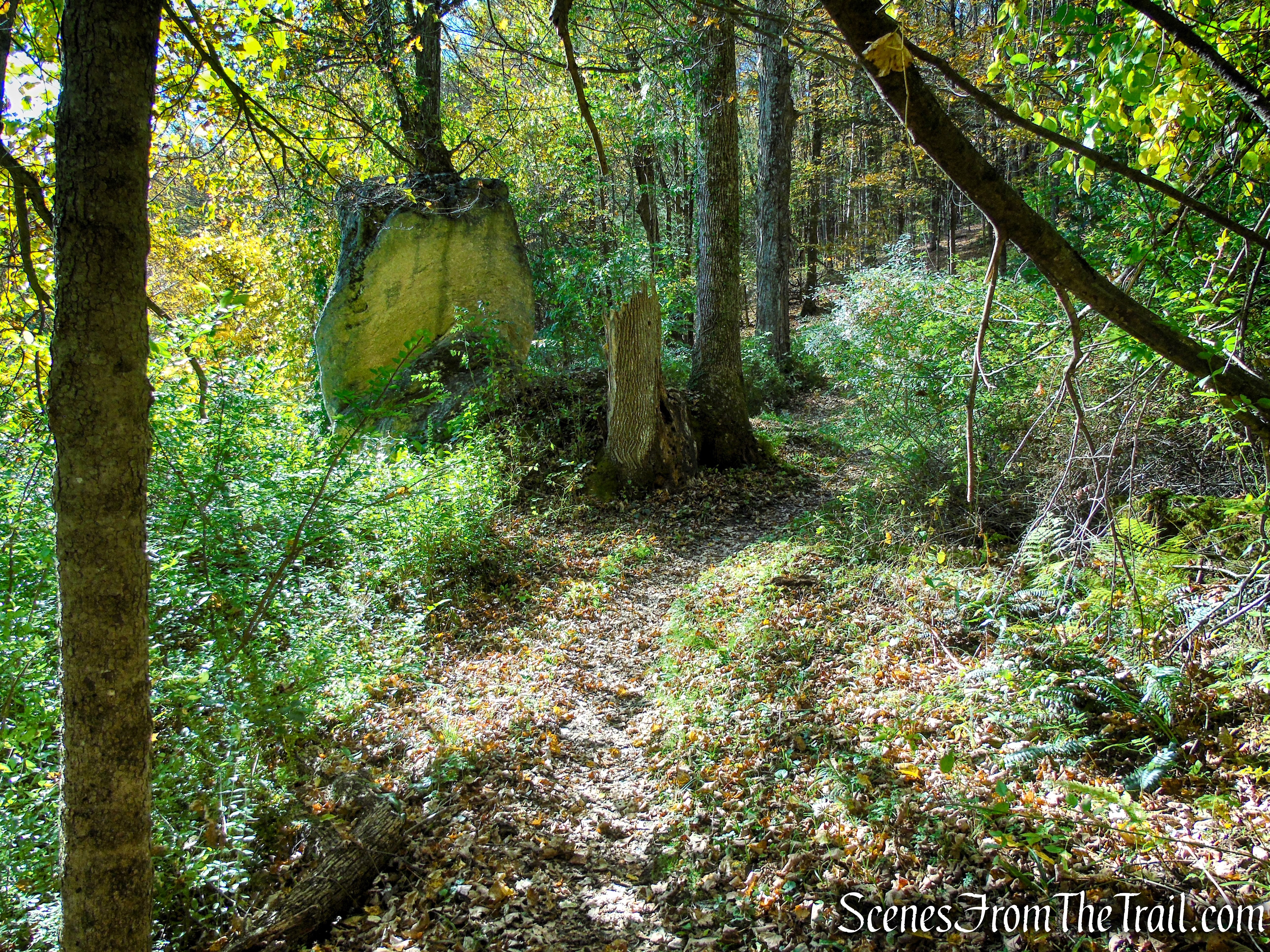 Cobble Loop Trail