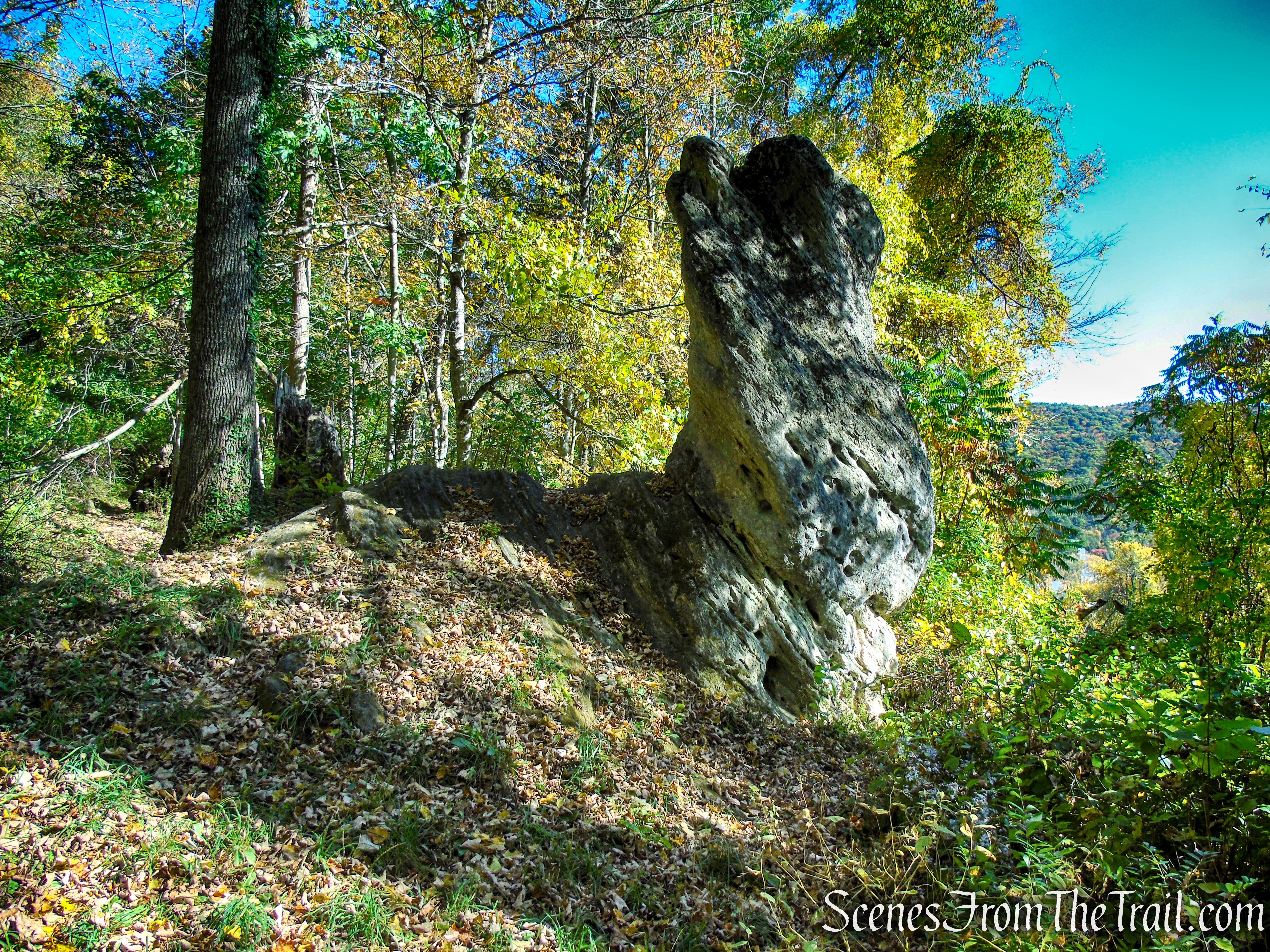 Rabbit Rock - Cobble Loop Trail