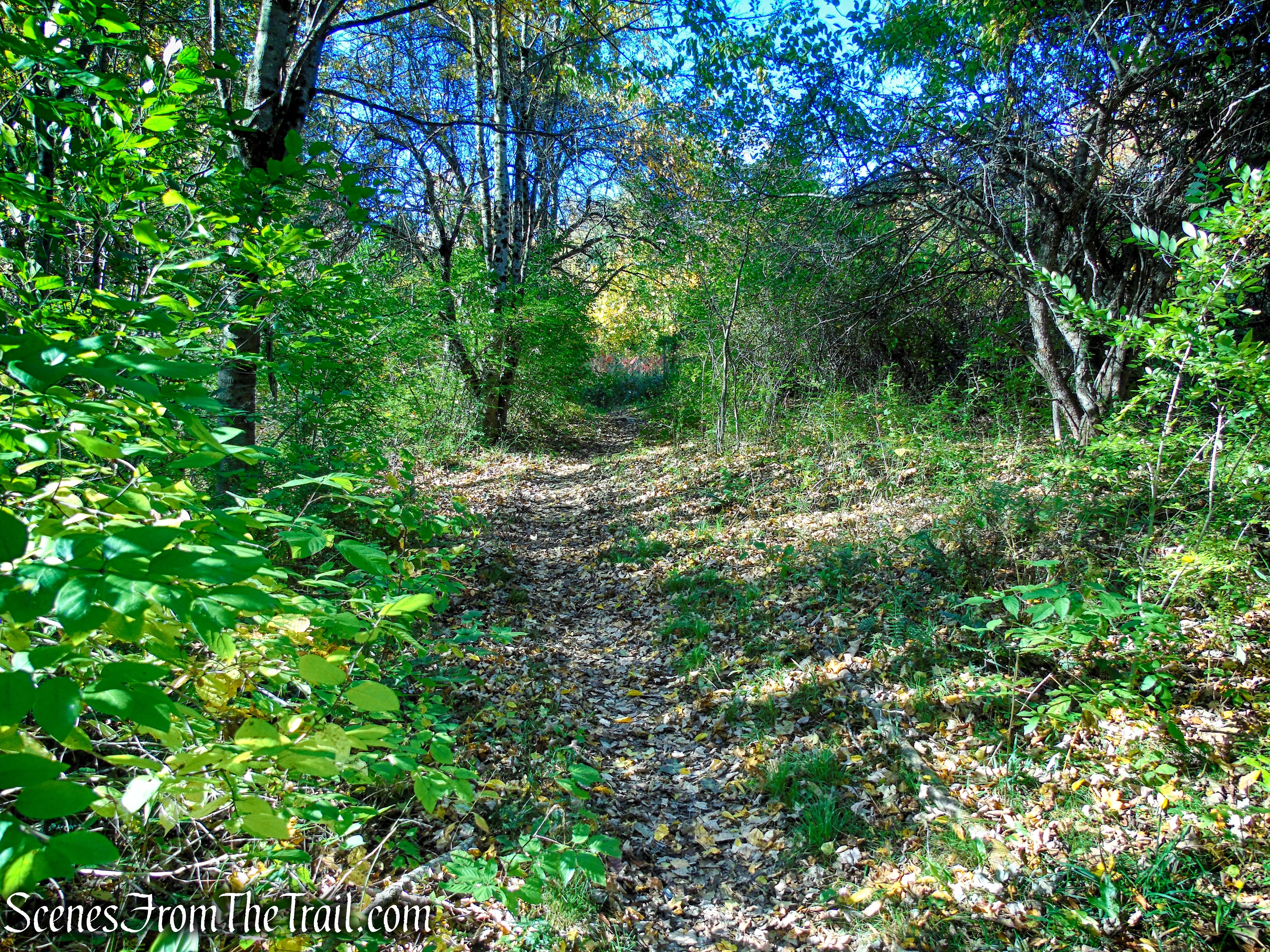 Cobble Loop Trail