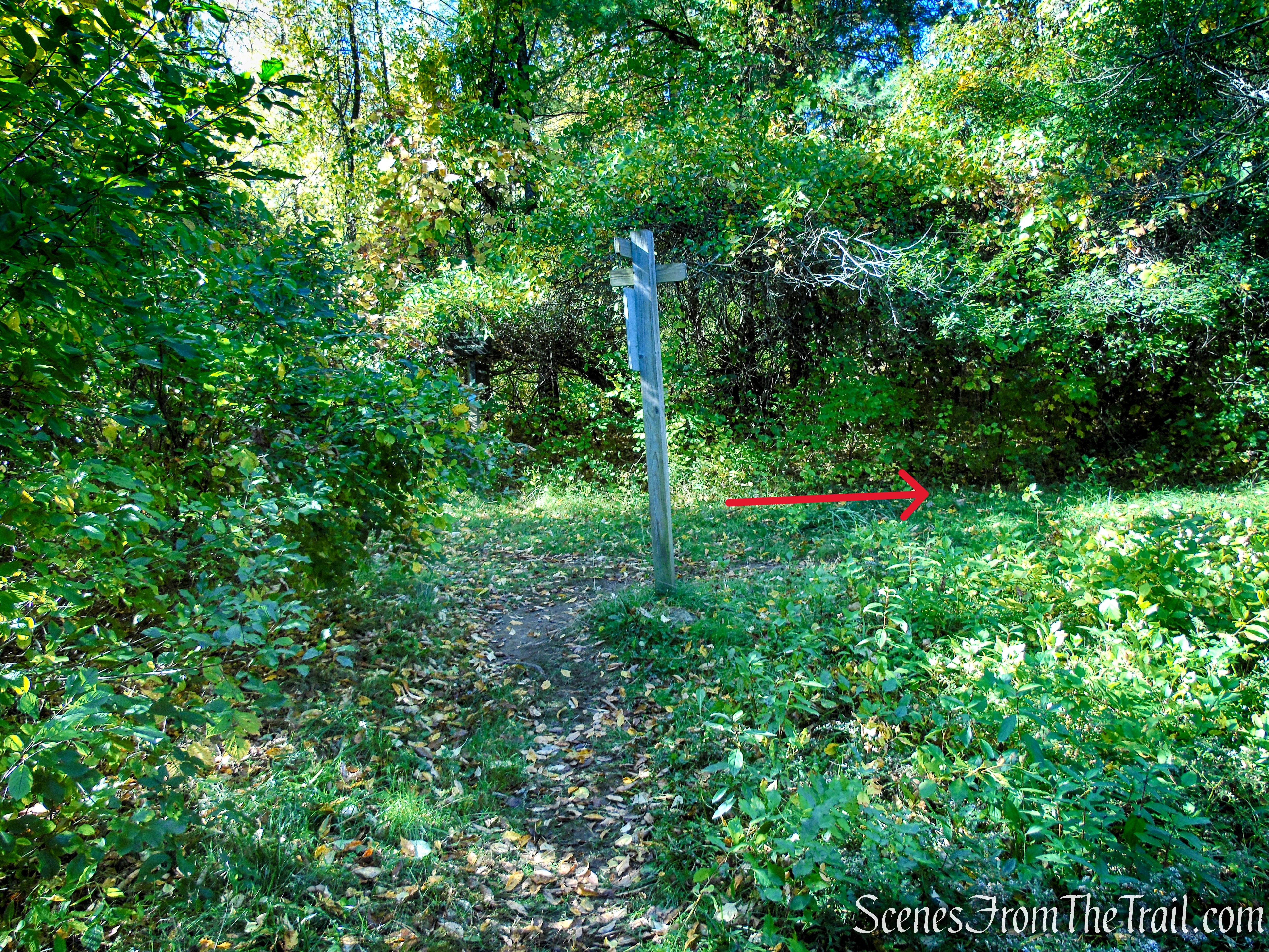 Cobble Loop Trail