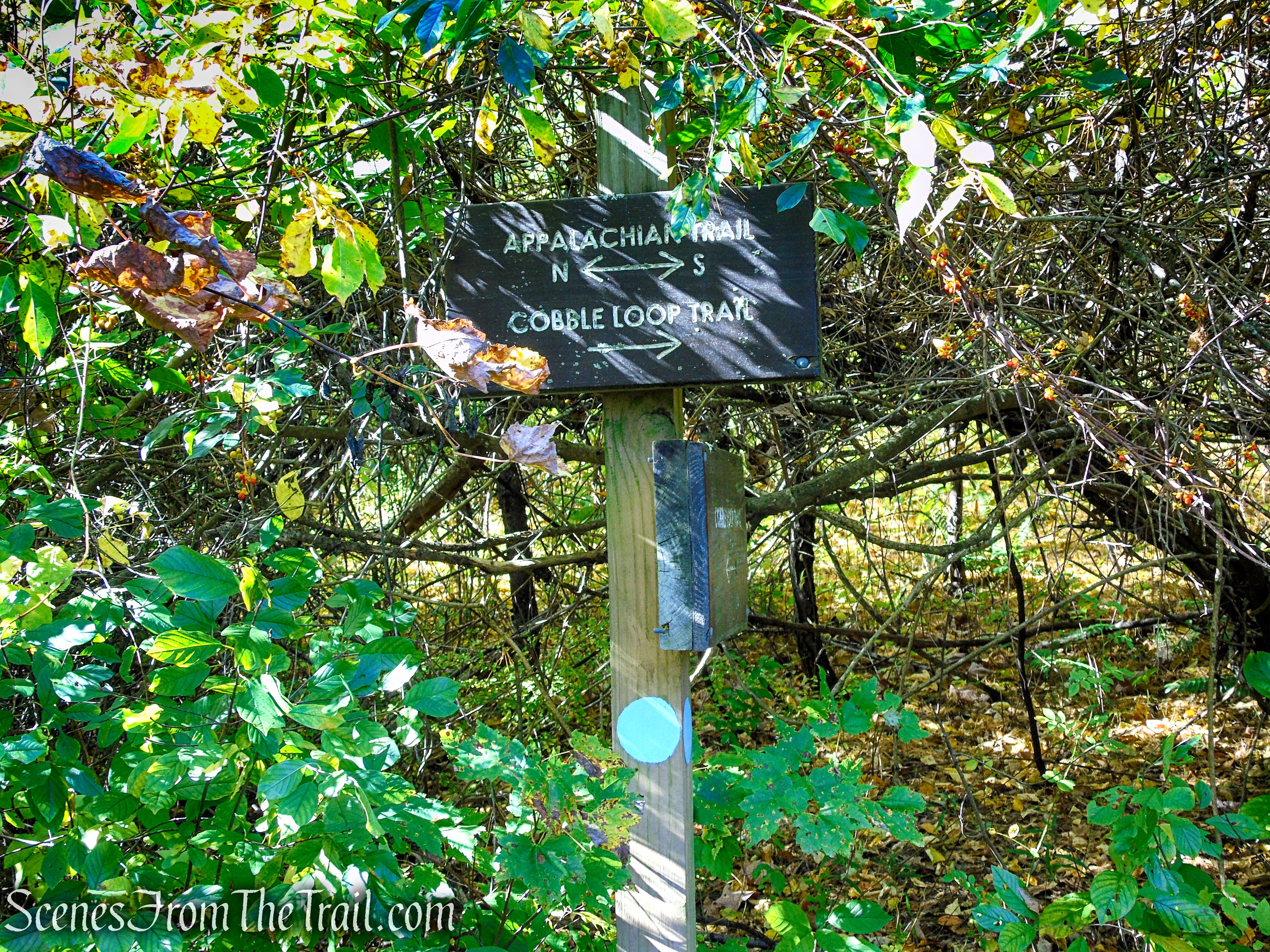 Cobble Loop Trail
