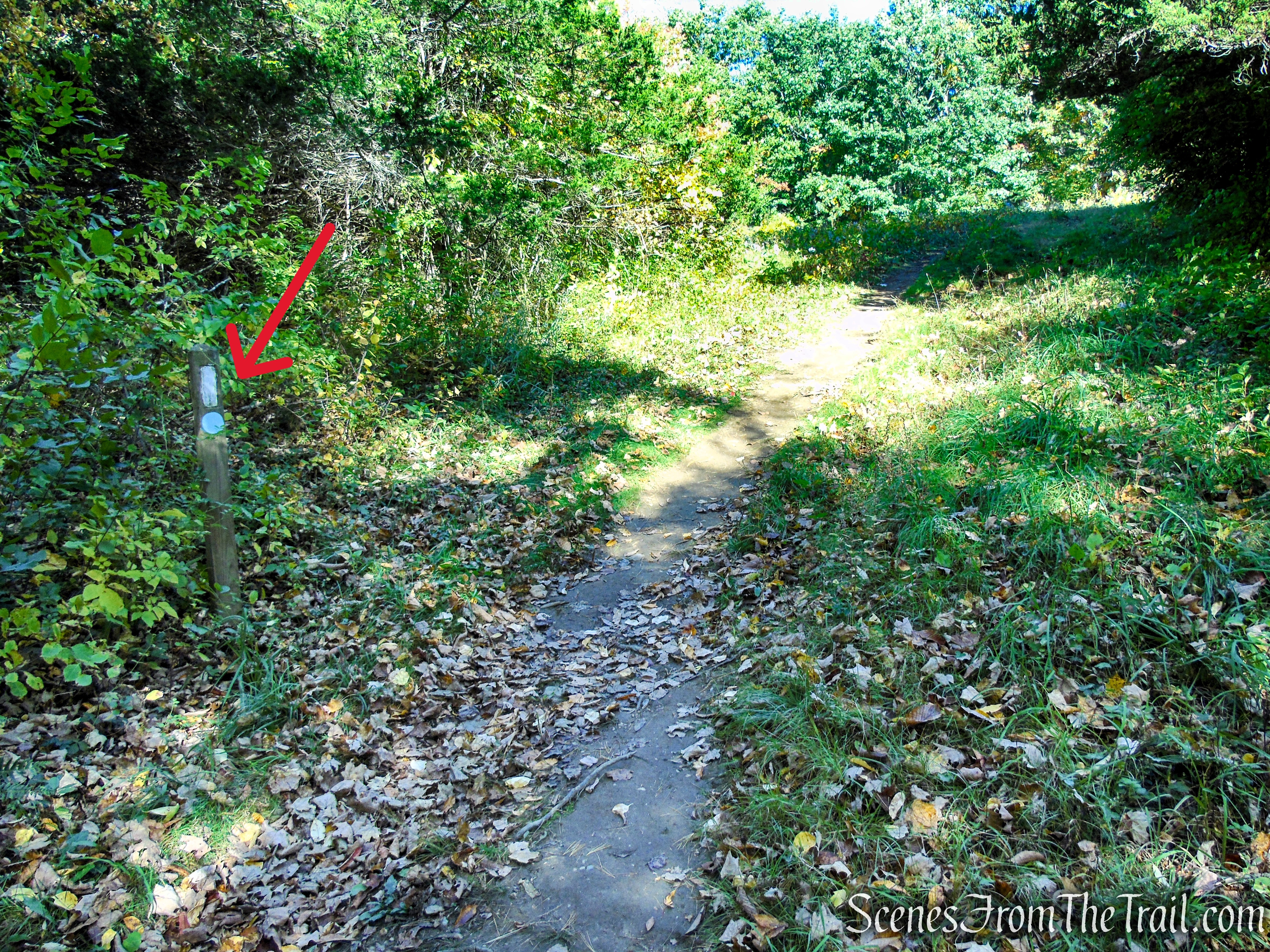Cobble Loop Trail