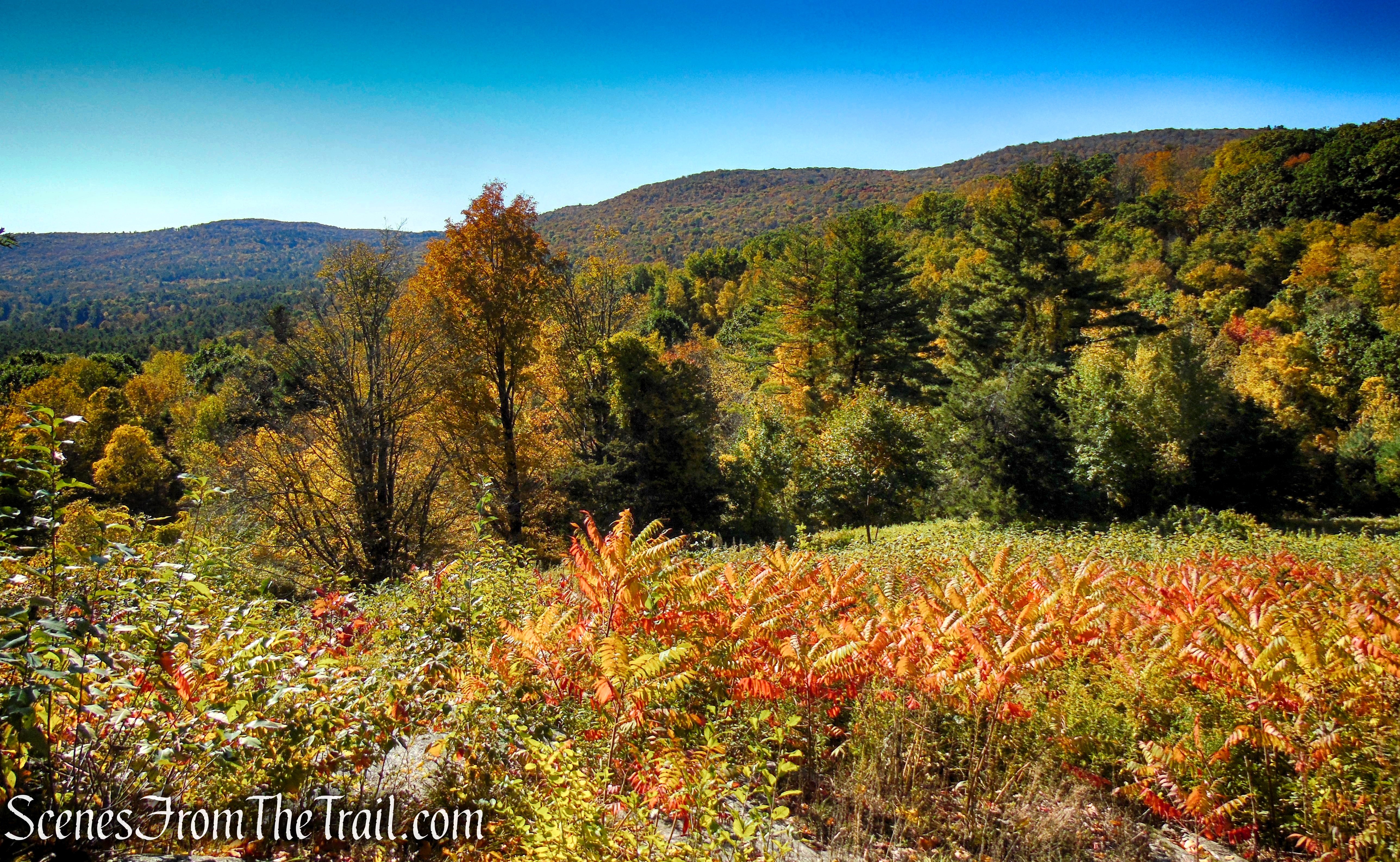 First viewpoint - Cobble Loop Trail