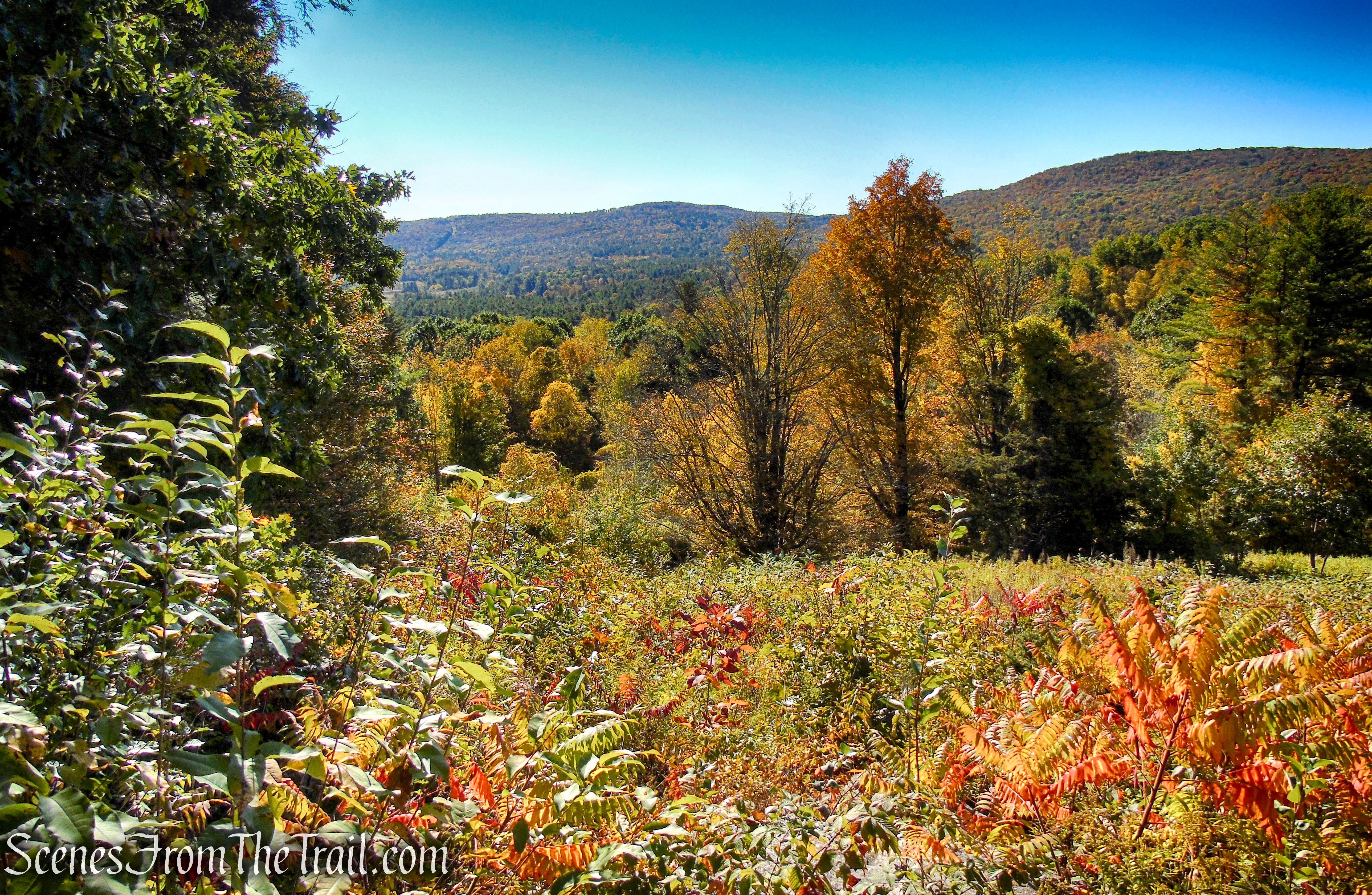 First viewpoint - Cobble Loop Trail