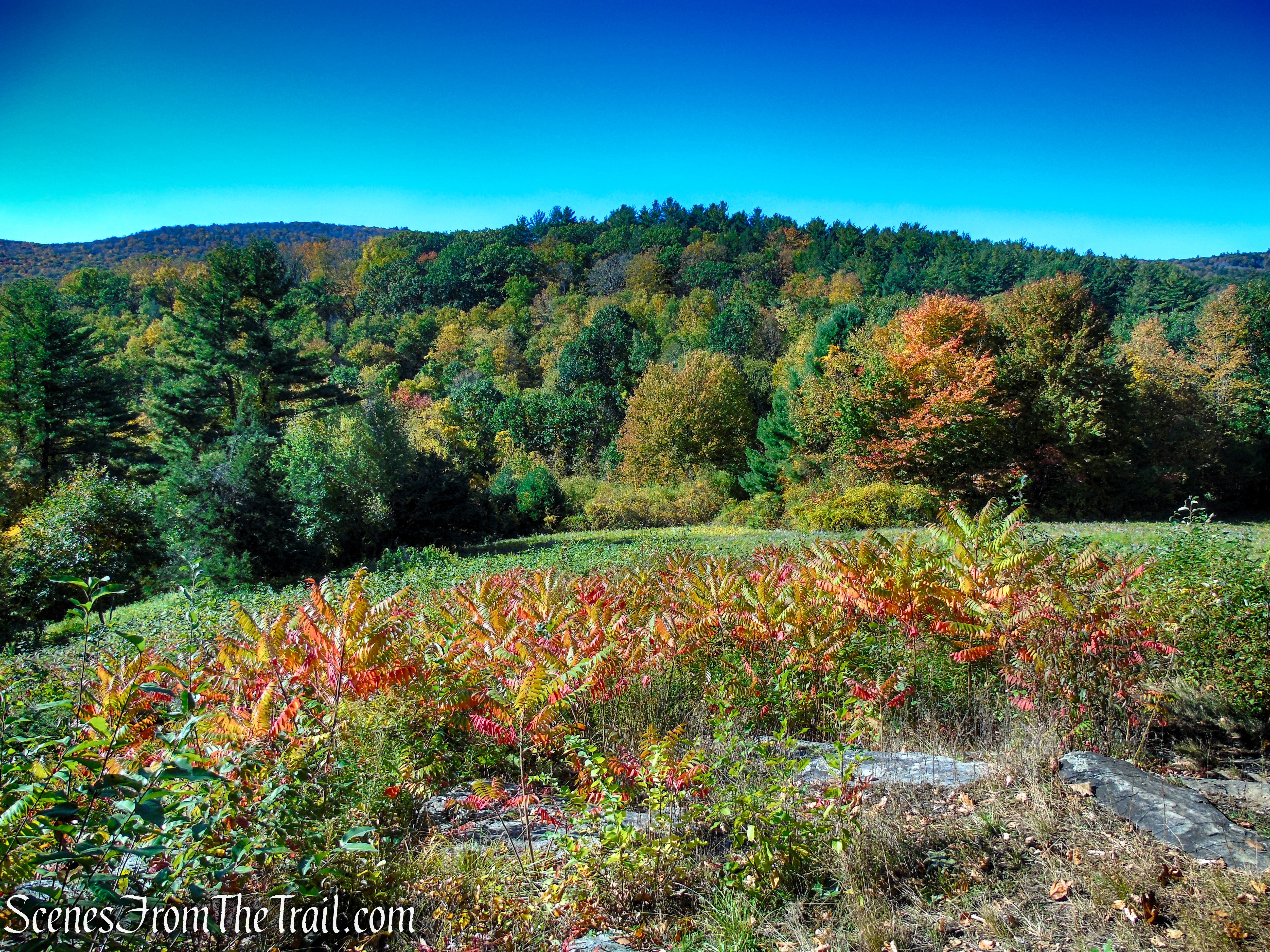 First viewpoint - Cobble Loop Trail