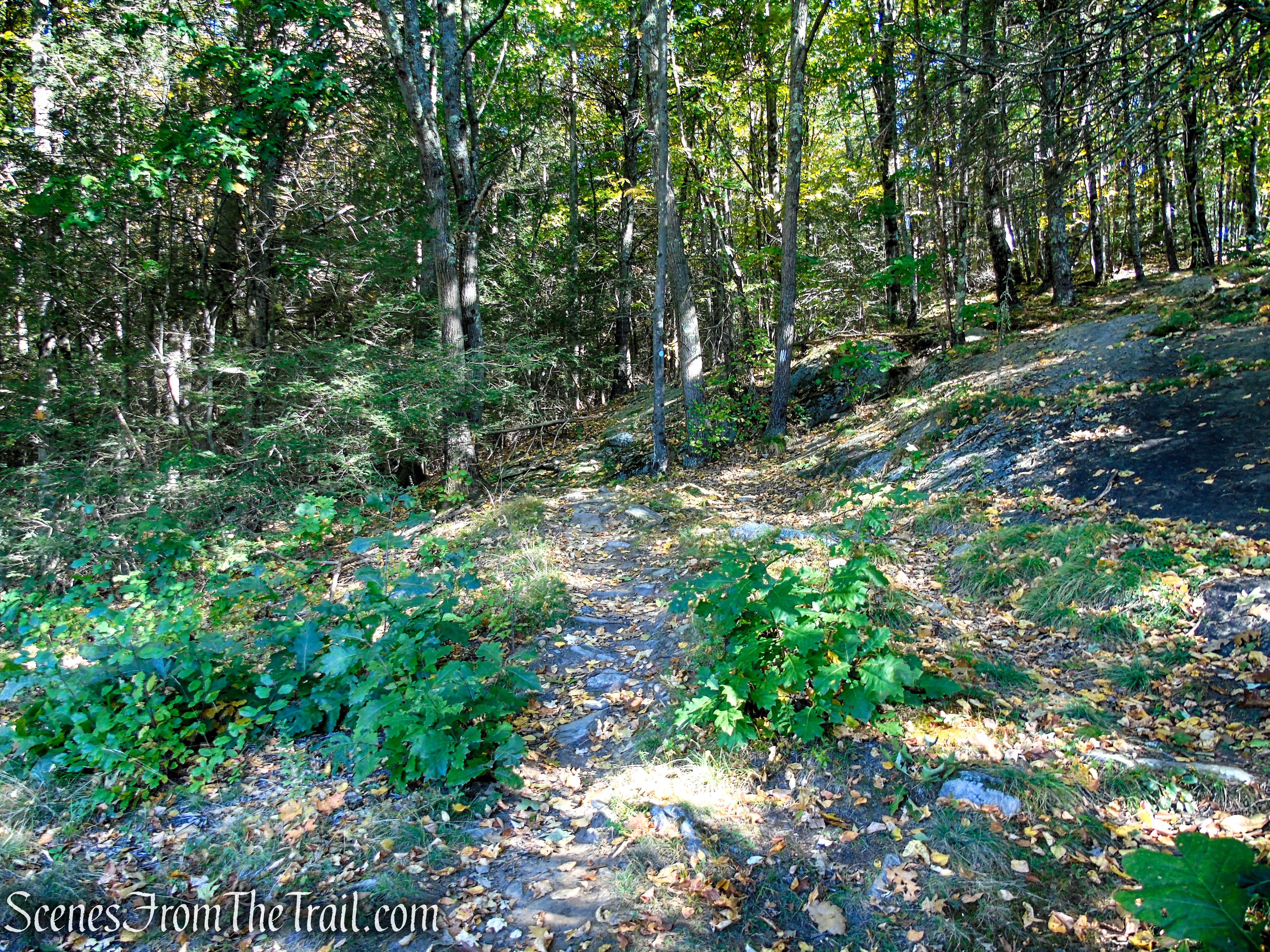 Cobble Loop Trail