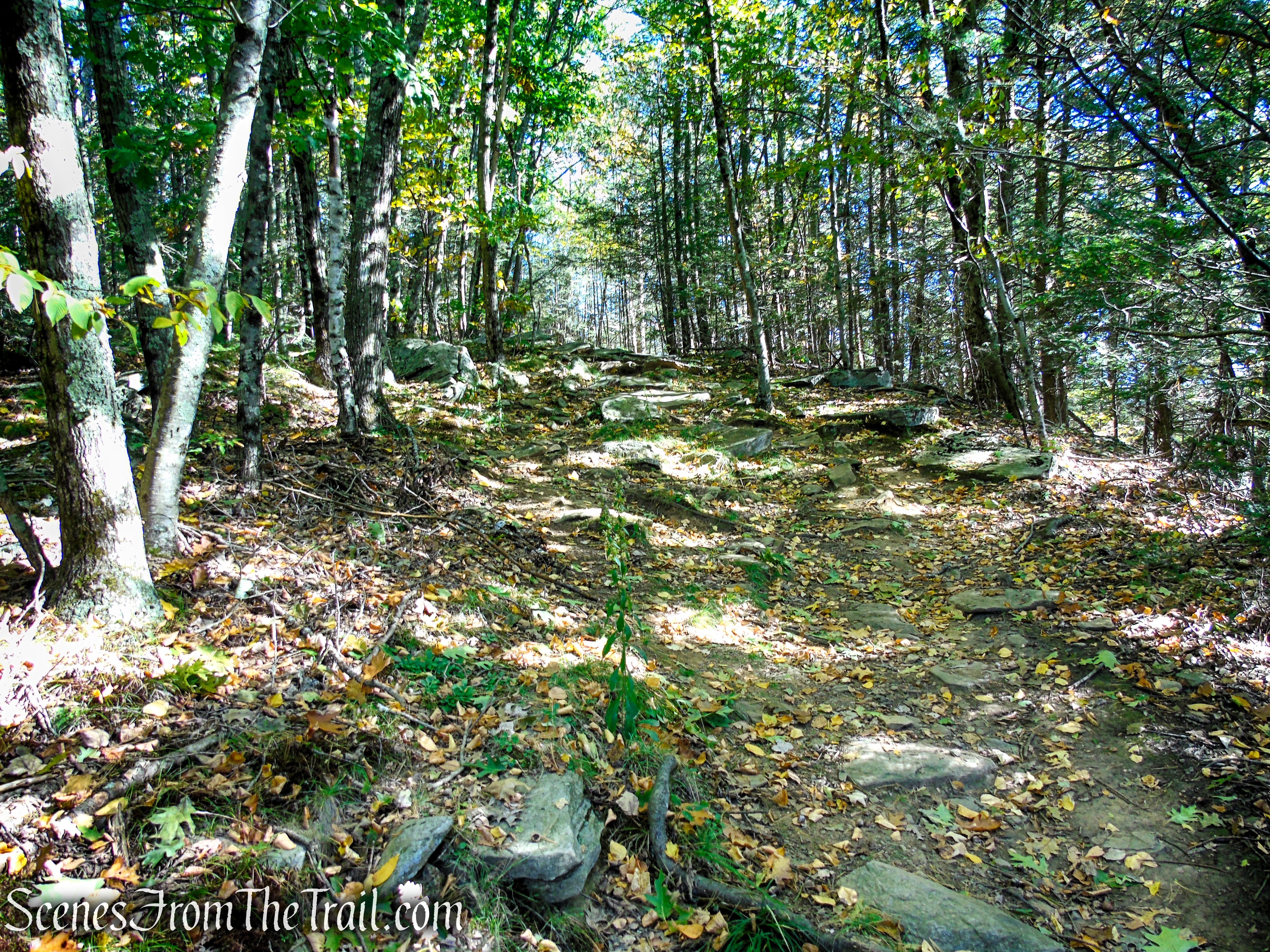 Cobble Loop Trail