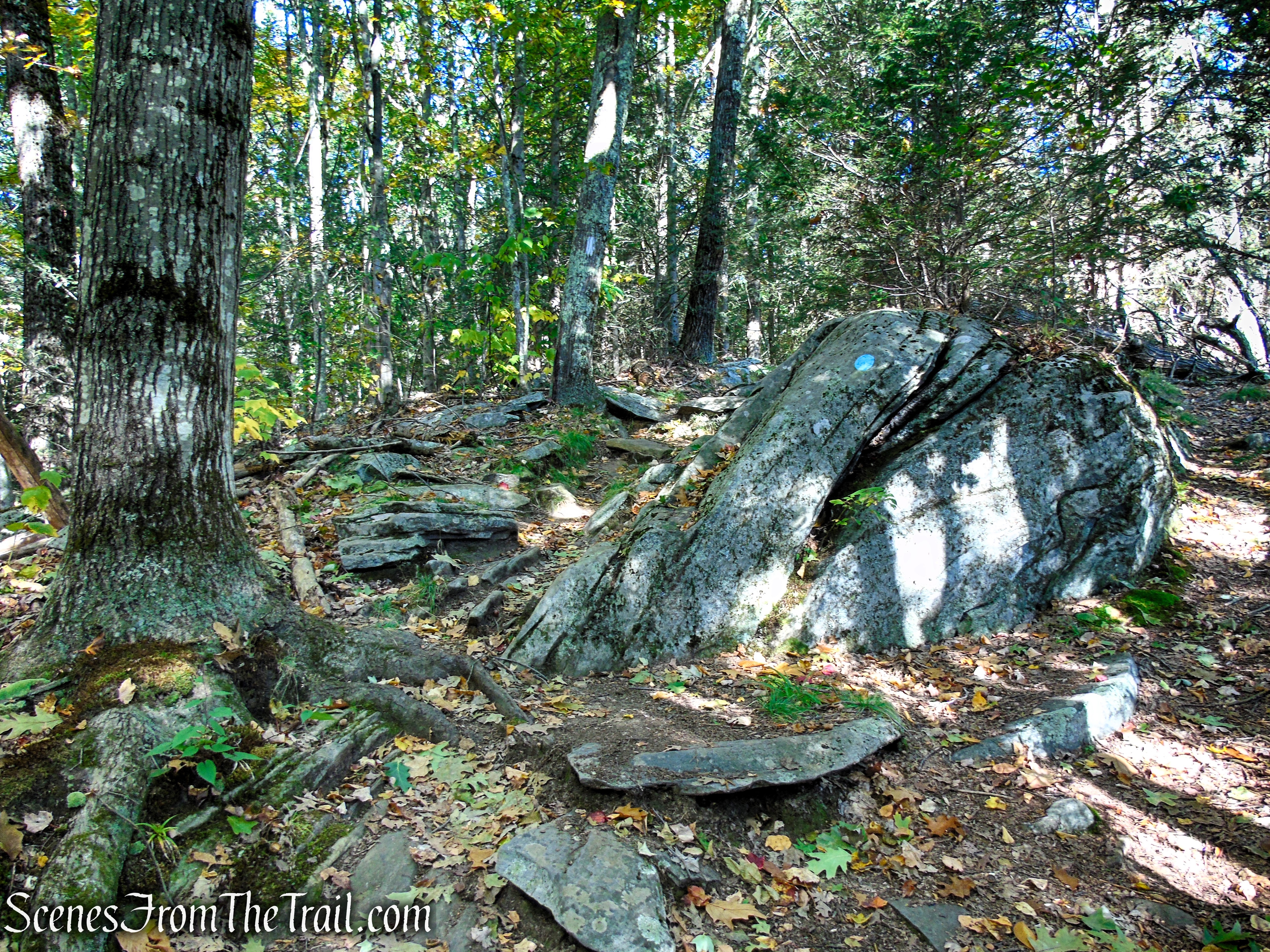 Cobble Loop Trail