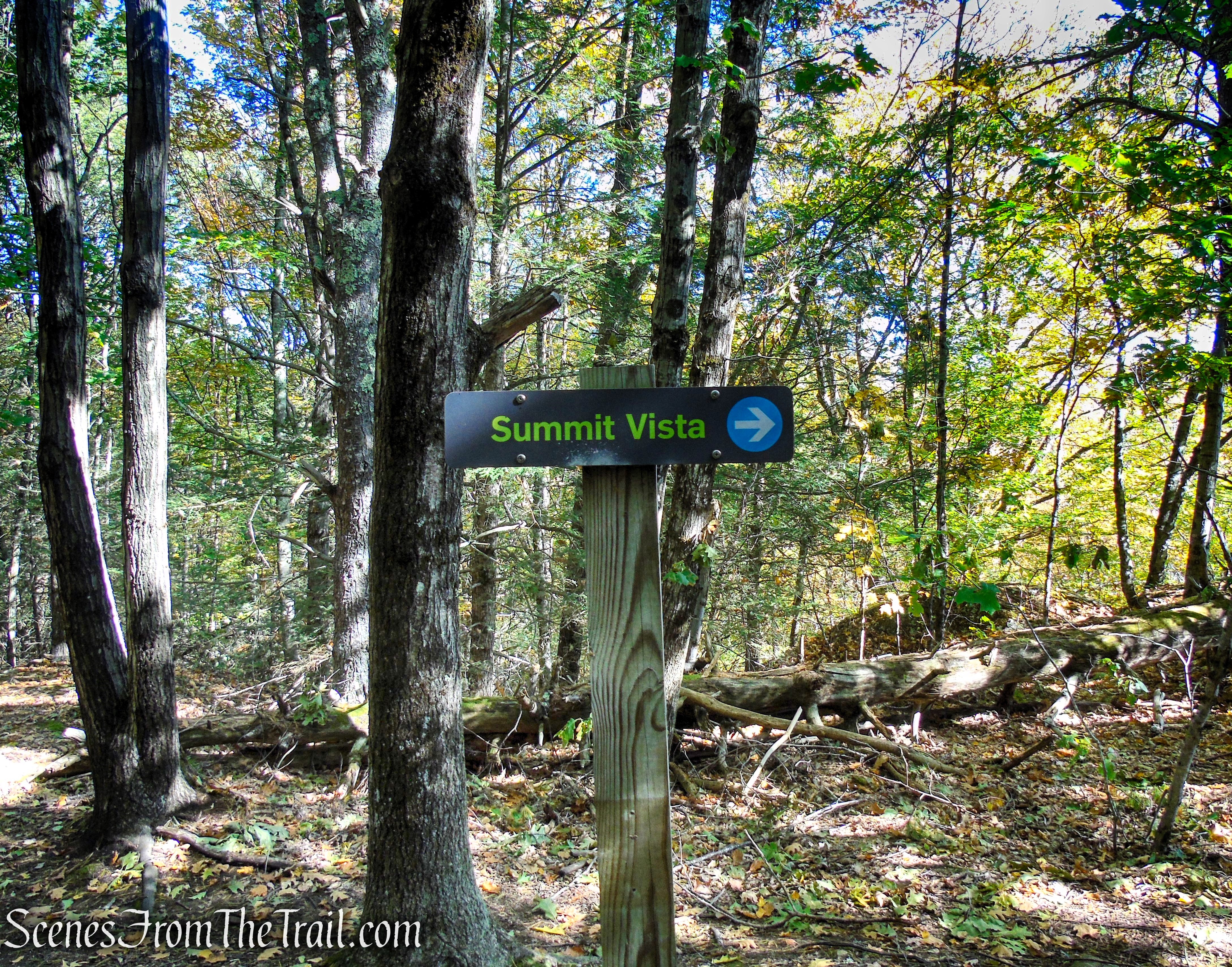 Second viewpoint - Cobble Loop Trail