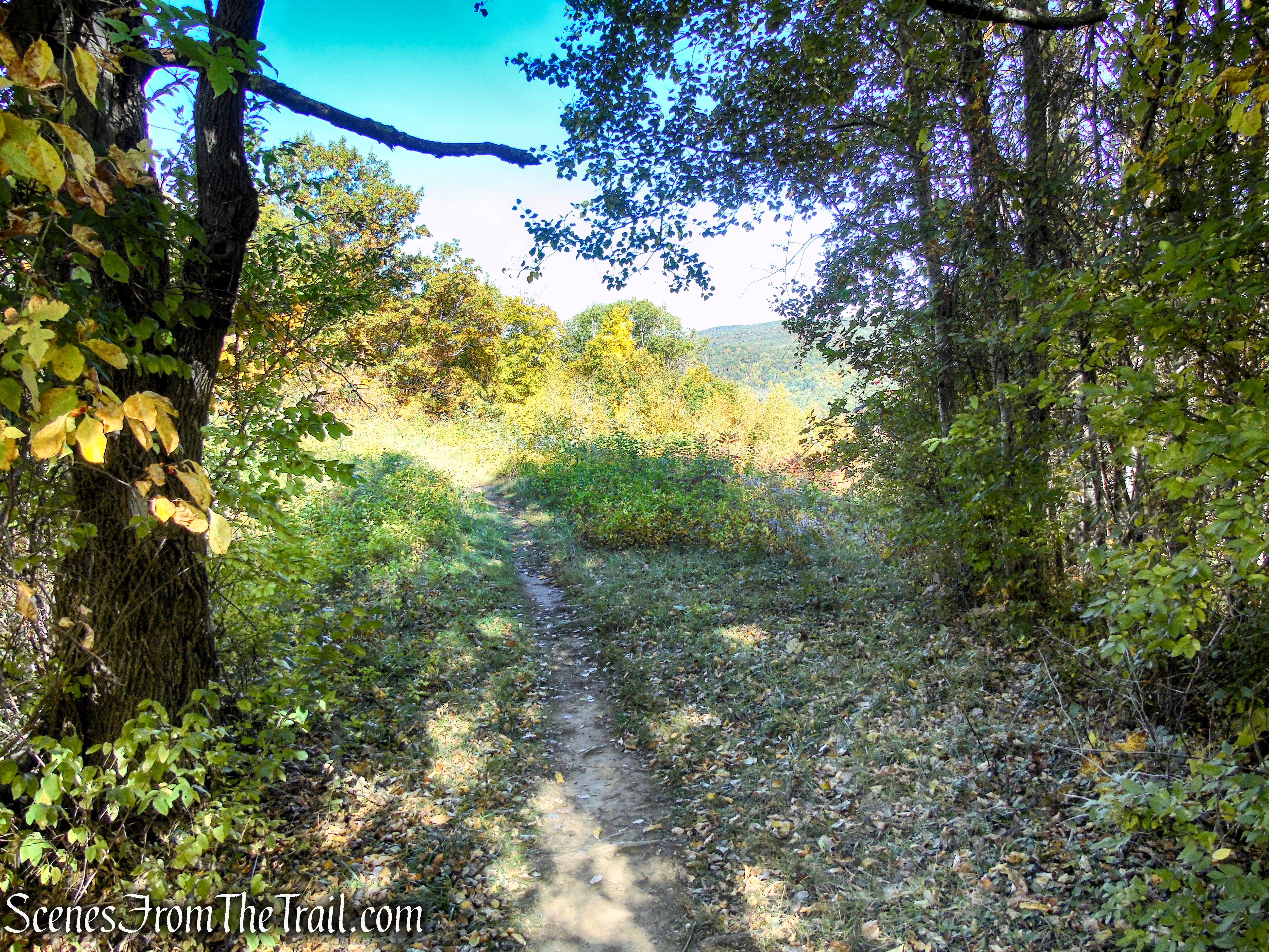Cobble Loop Trail