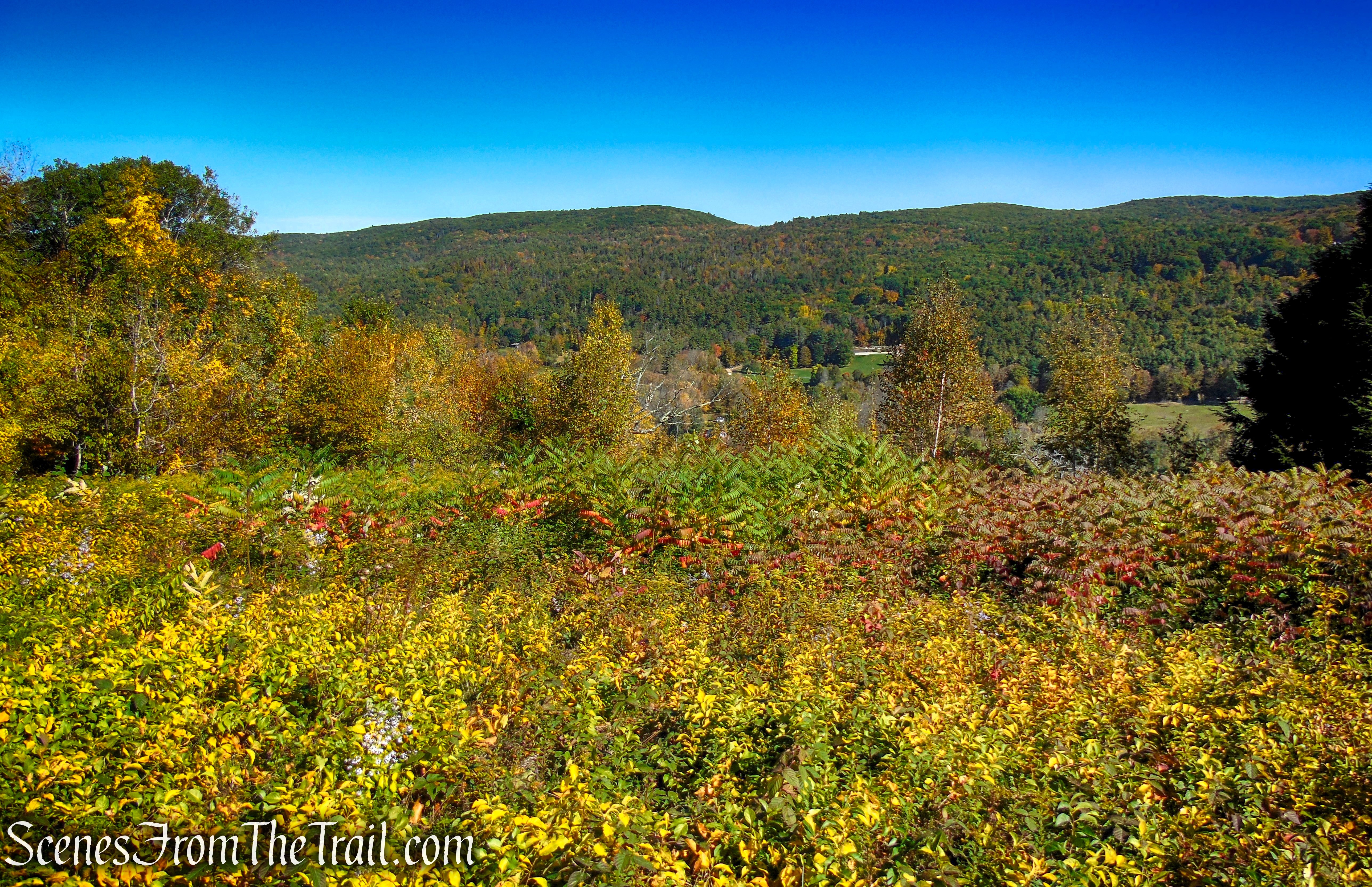 Third viewpoint - Cobble Loop Trail