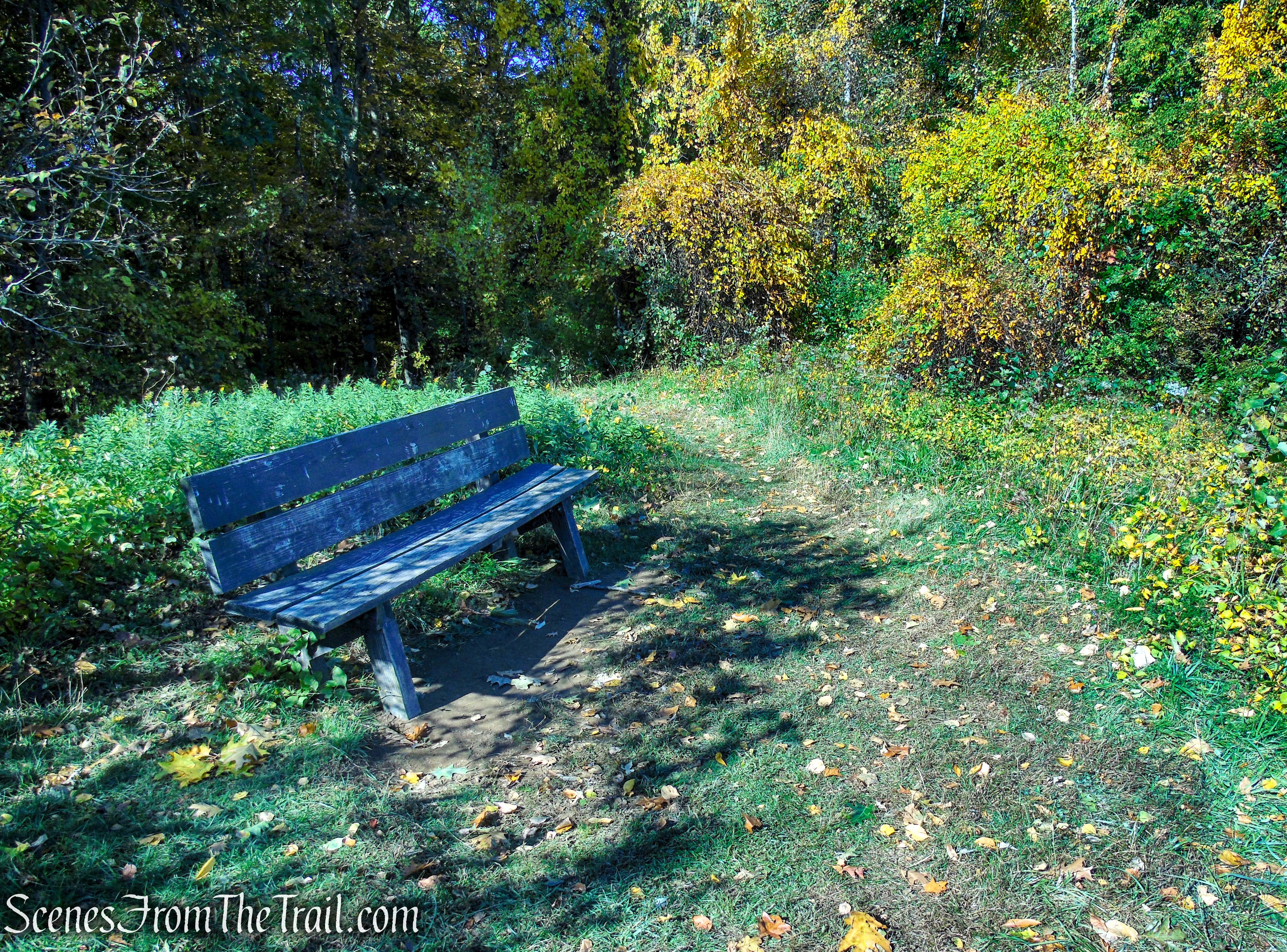 Third viewpoint - Cobble Loop Trail