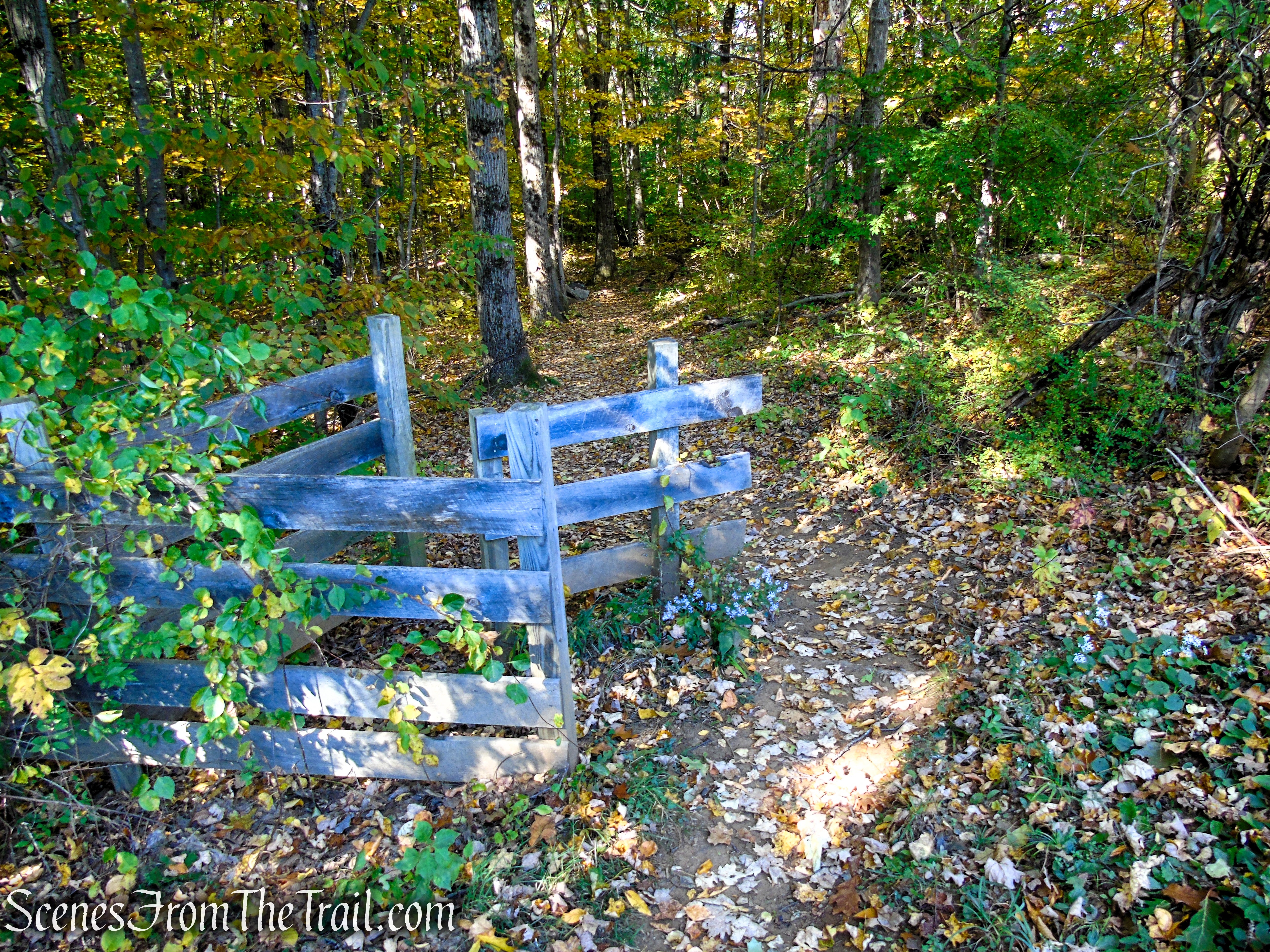 Cobble Loop Trail