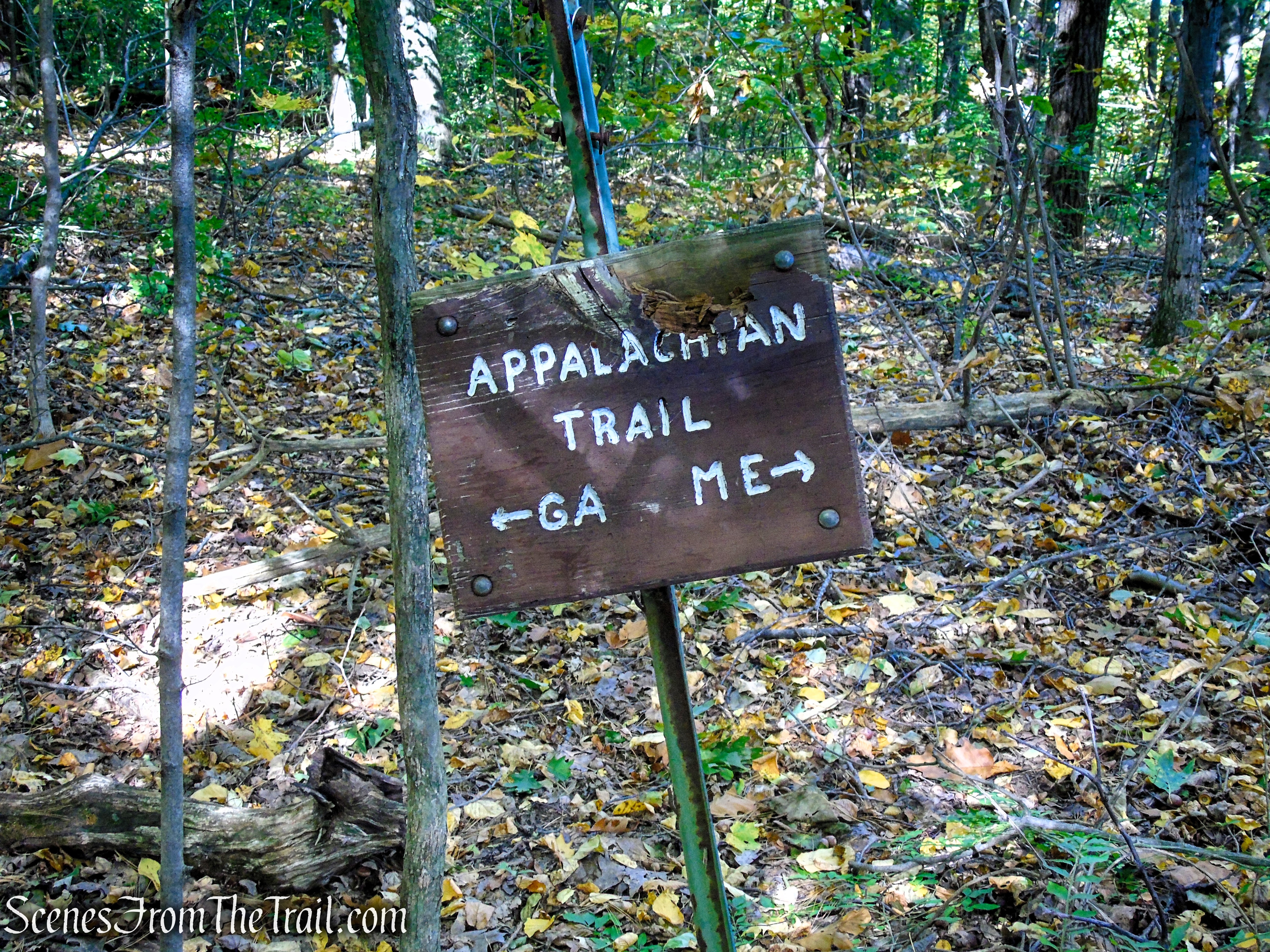 Cobble Loop Trail