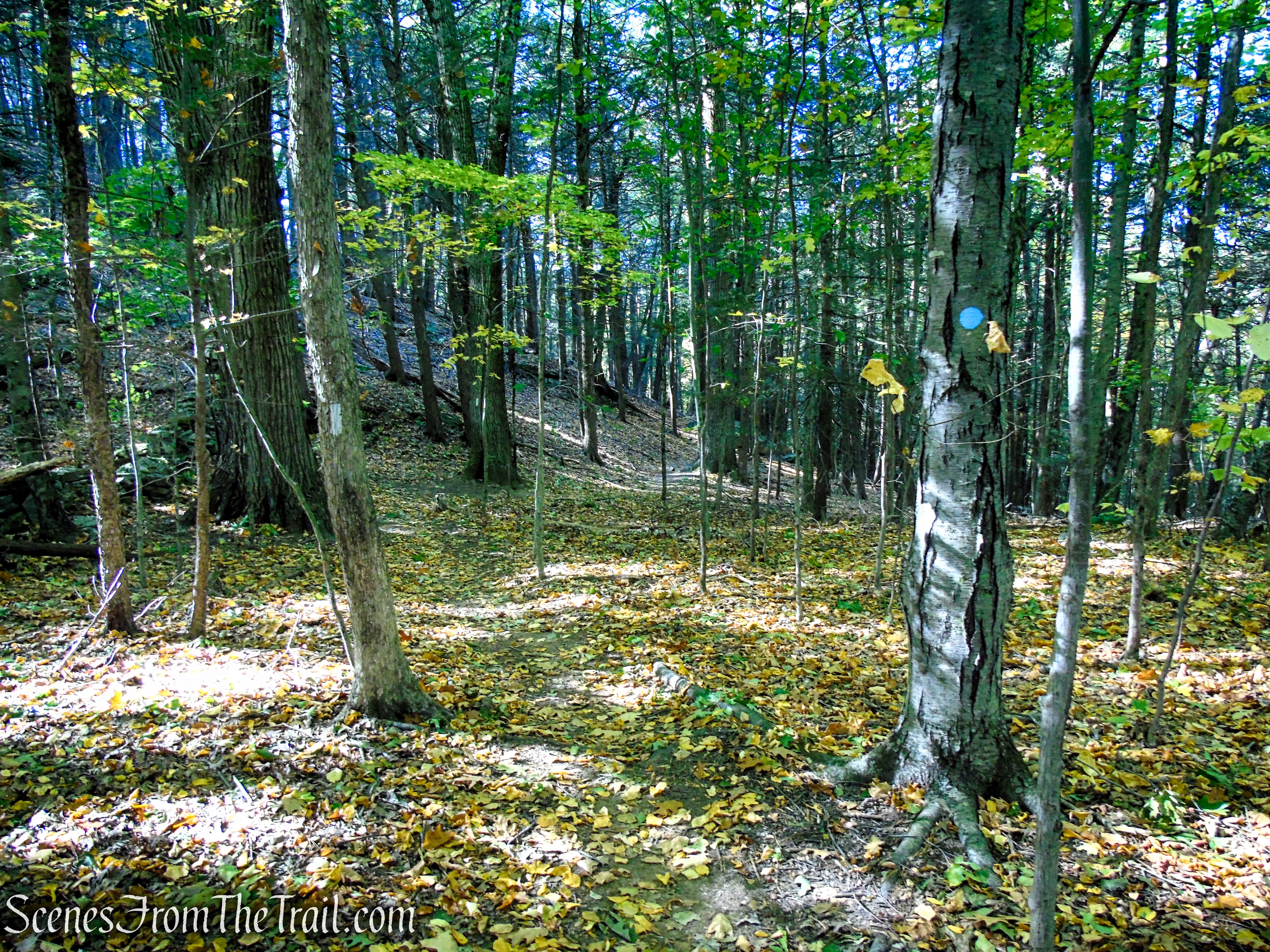 Cobble Loop Trail