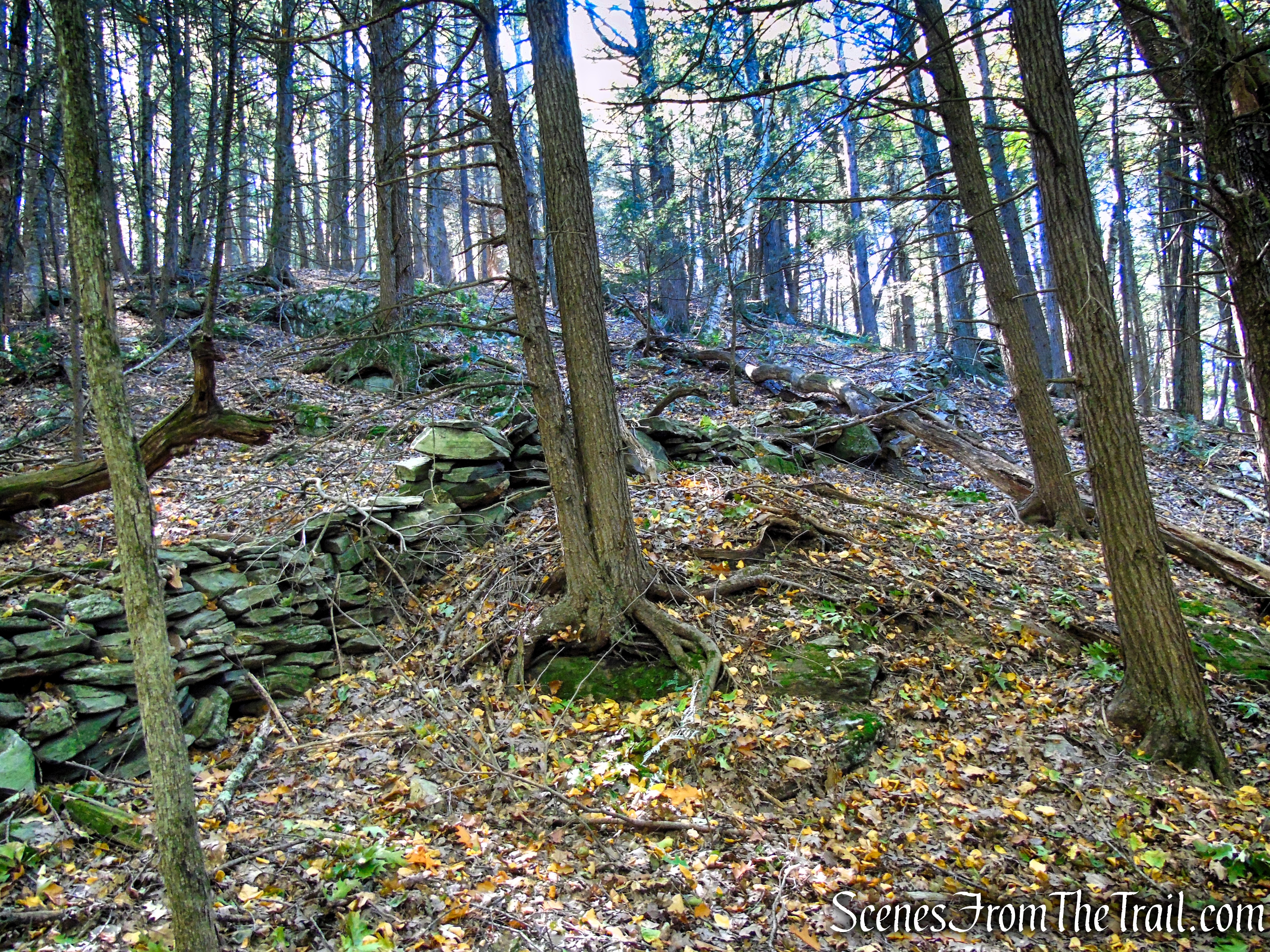 Cobble Loop Trail
