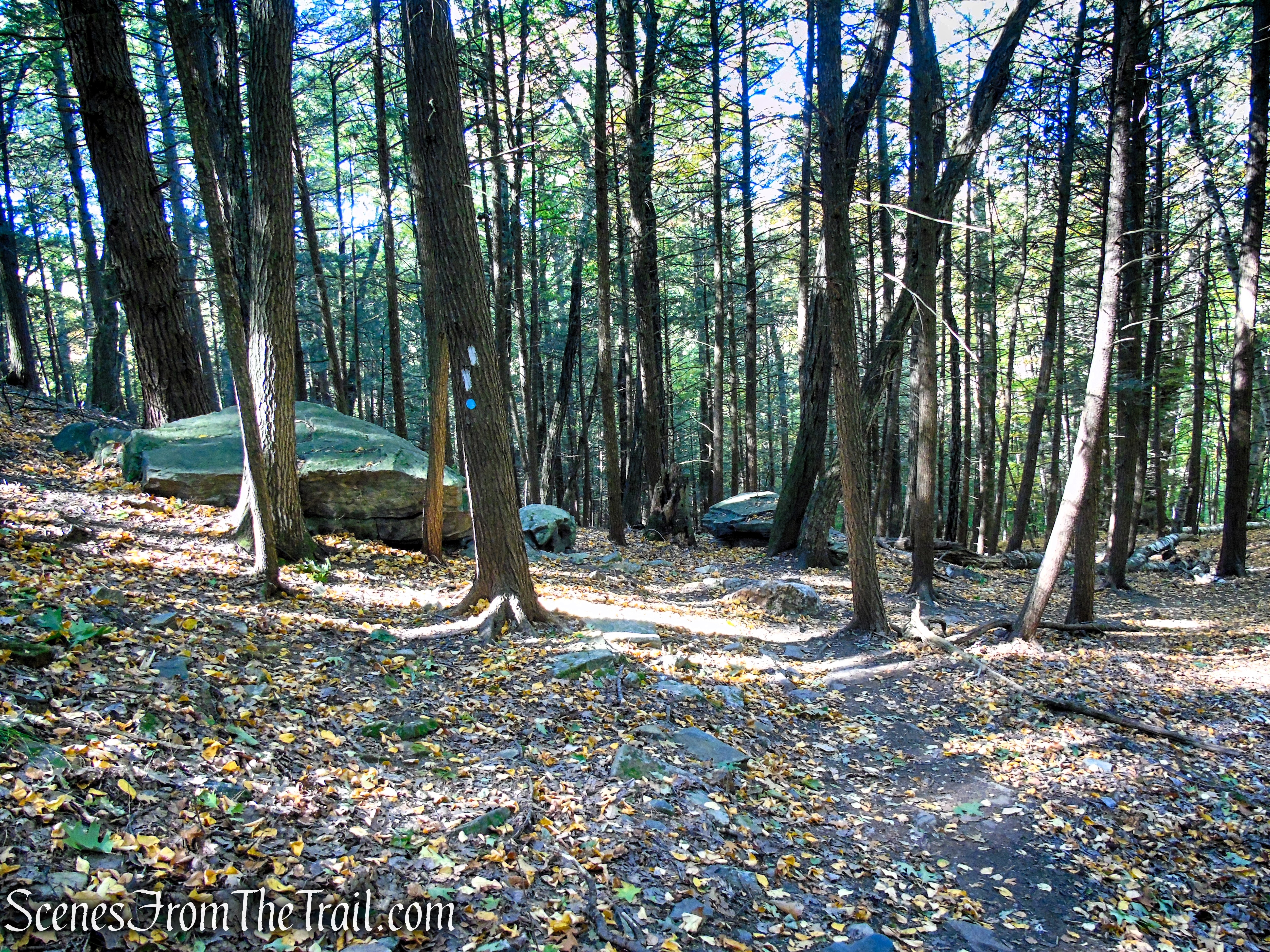 Cobble Loop Trail
