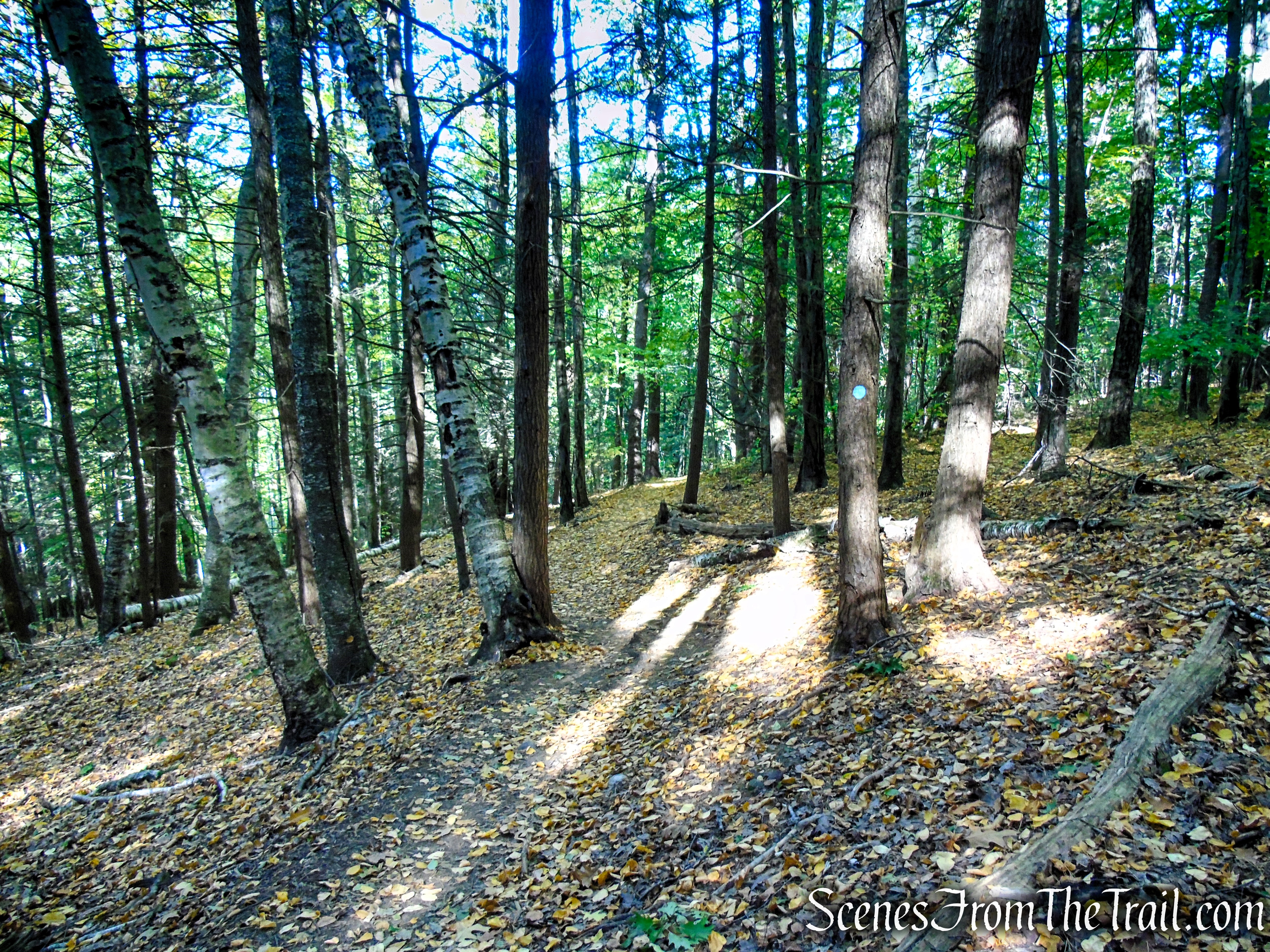 Cobble Loop Trail