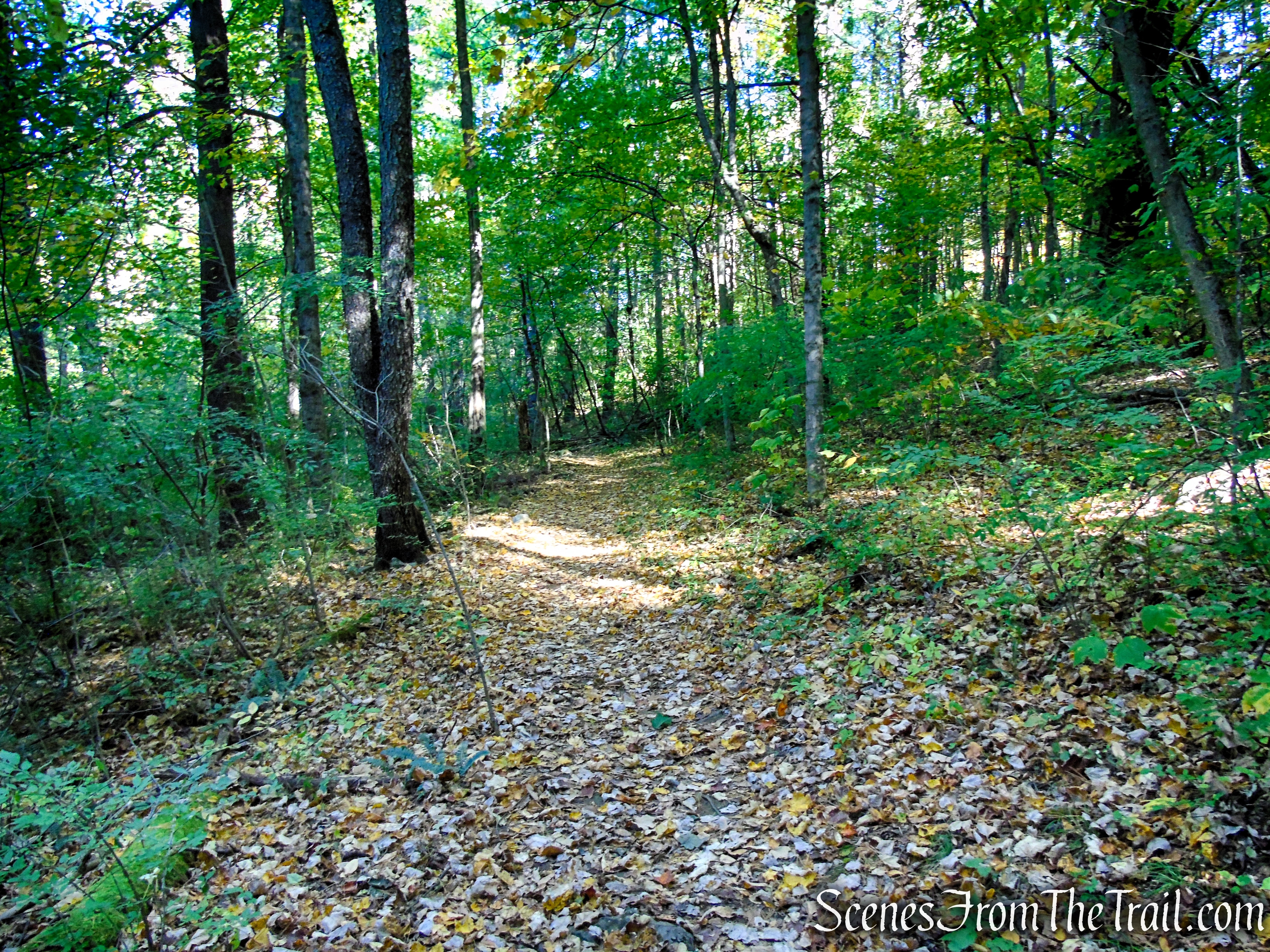 Cobble Loop Trail