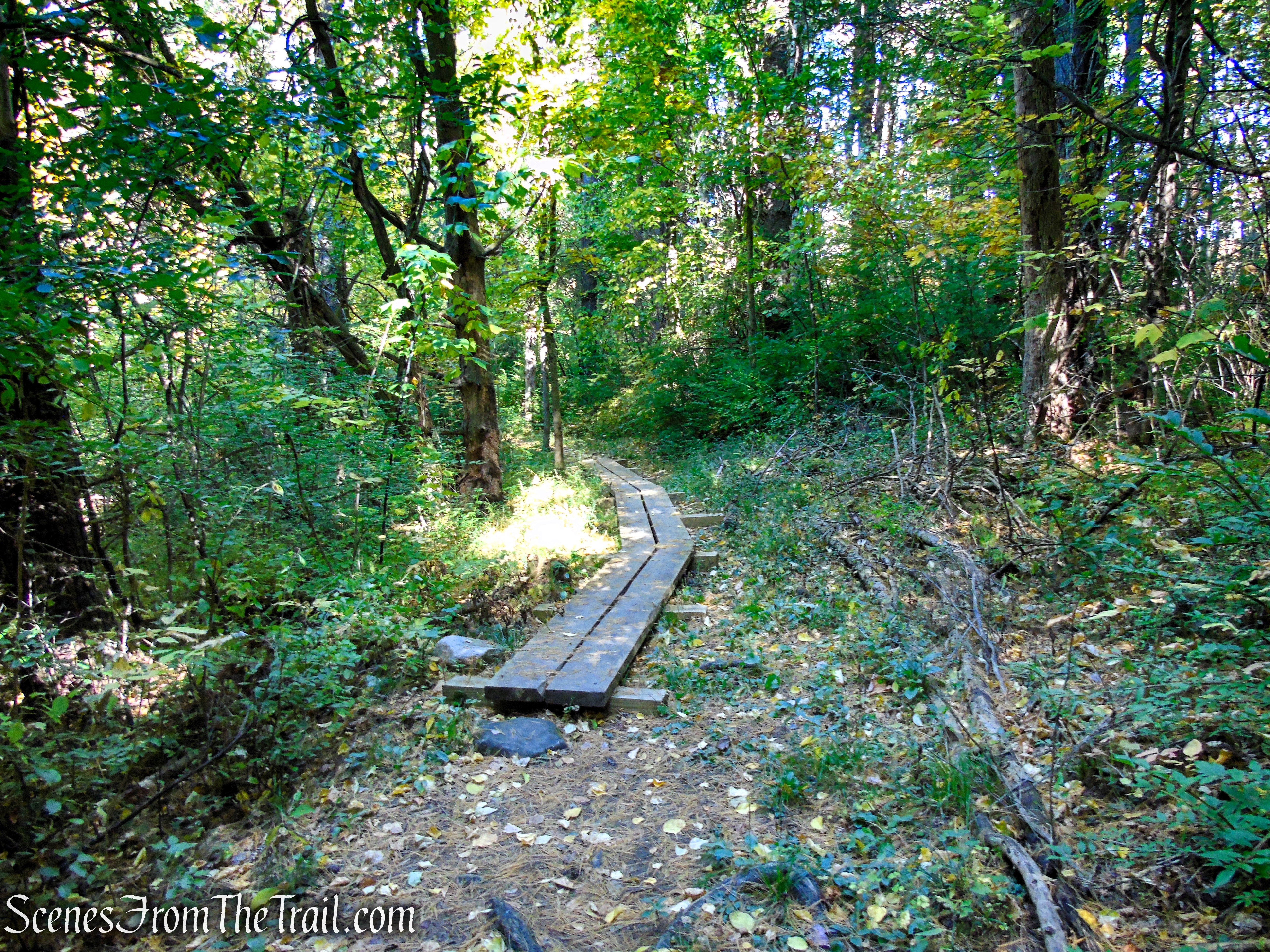 Cobble Loop Trail