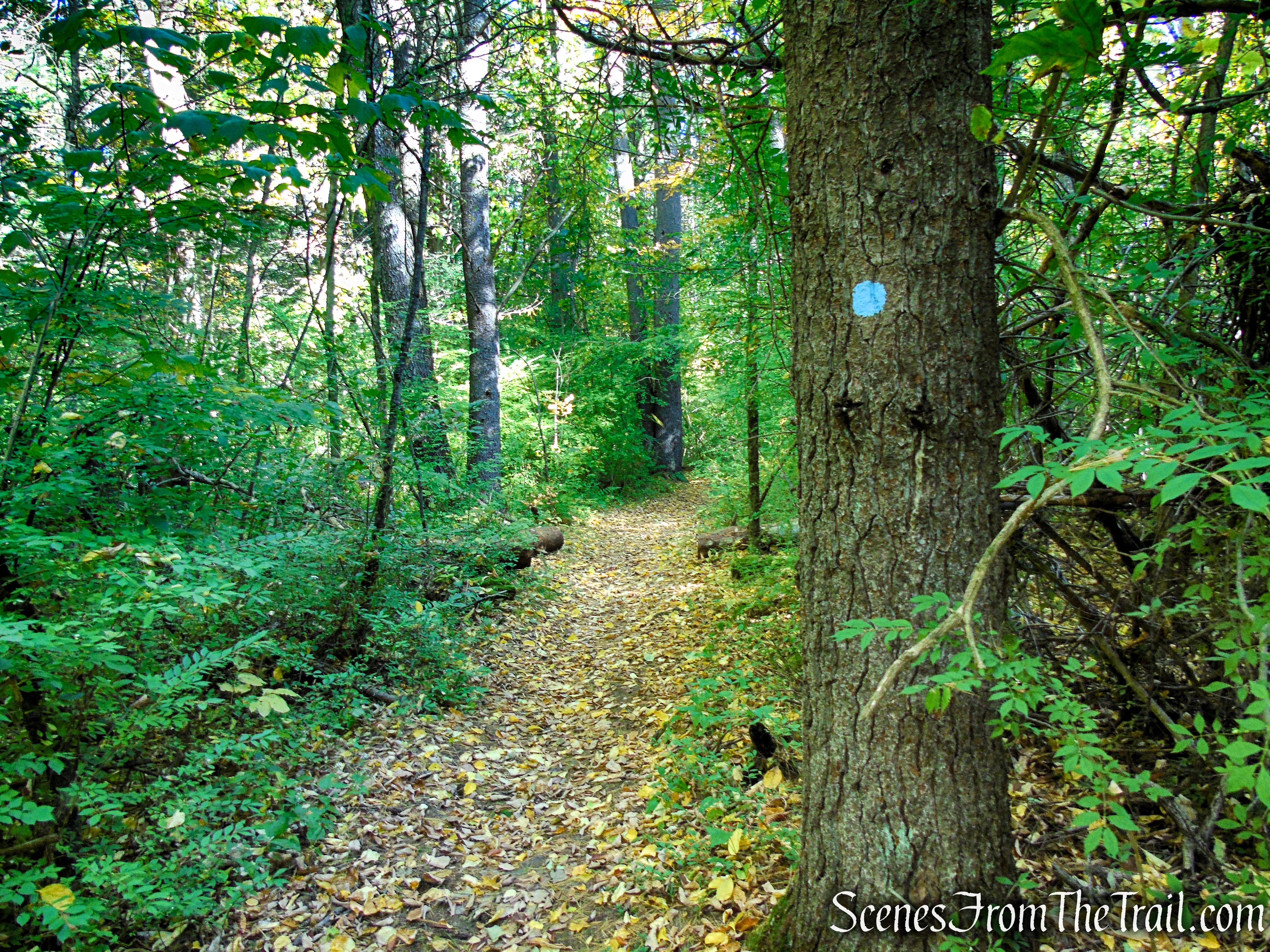 Cobble Loop Trail