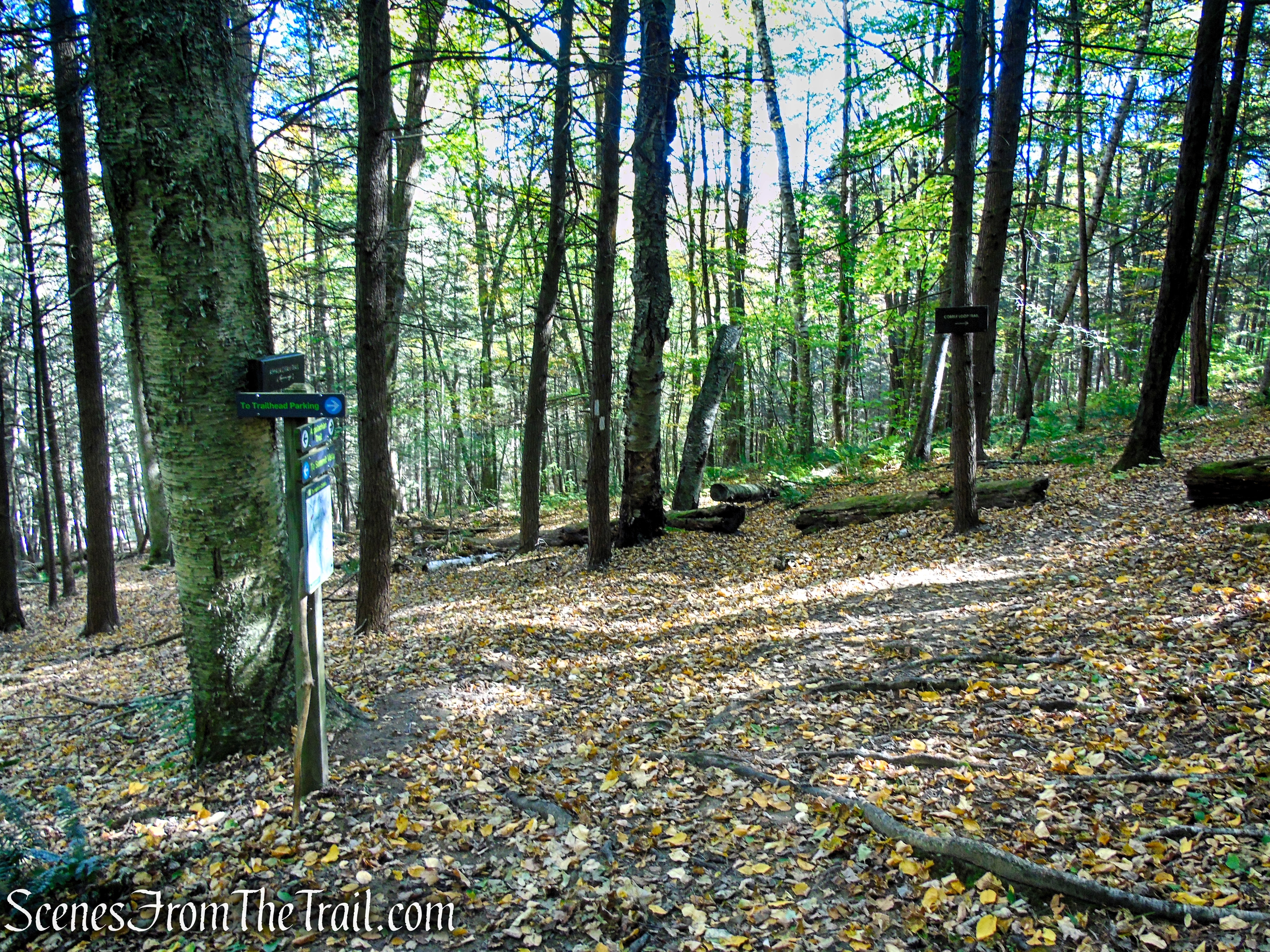 Cobble Loop Trail