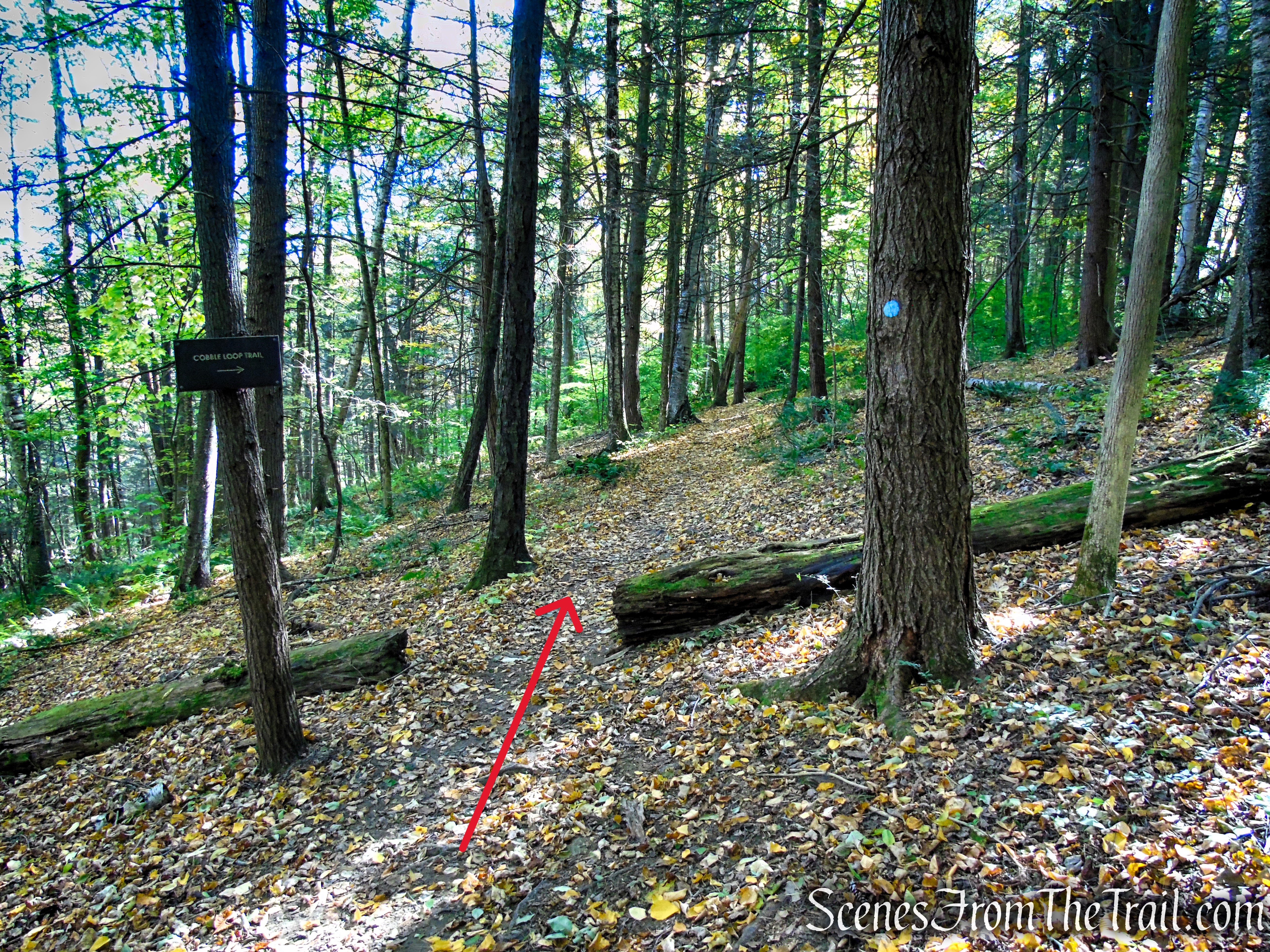 Cobble Loop Trail