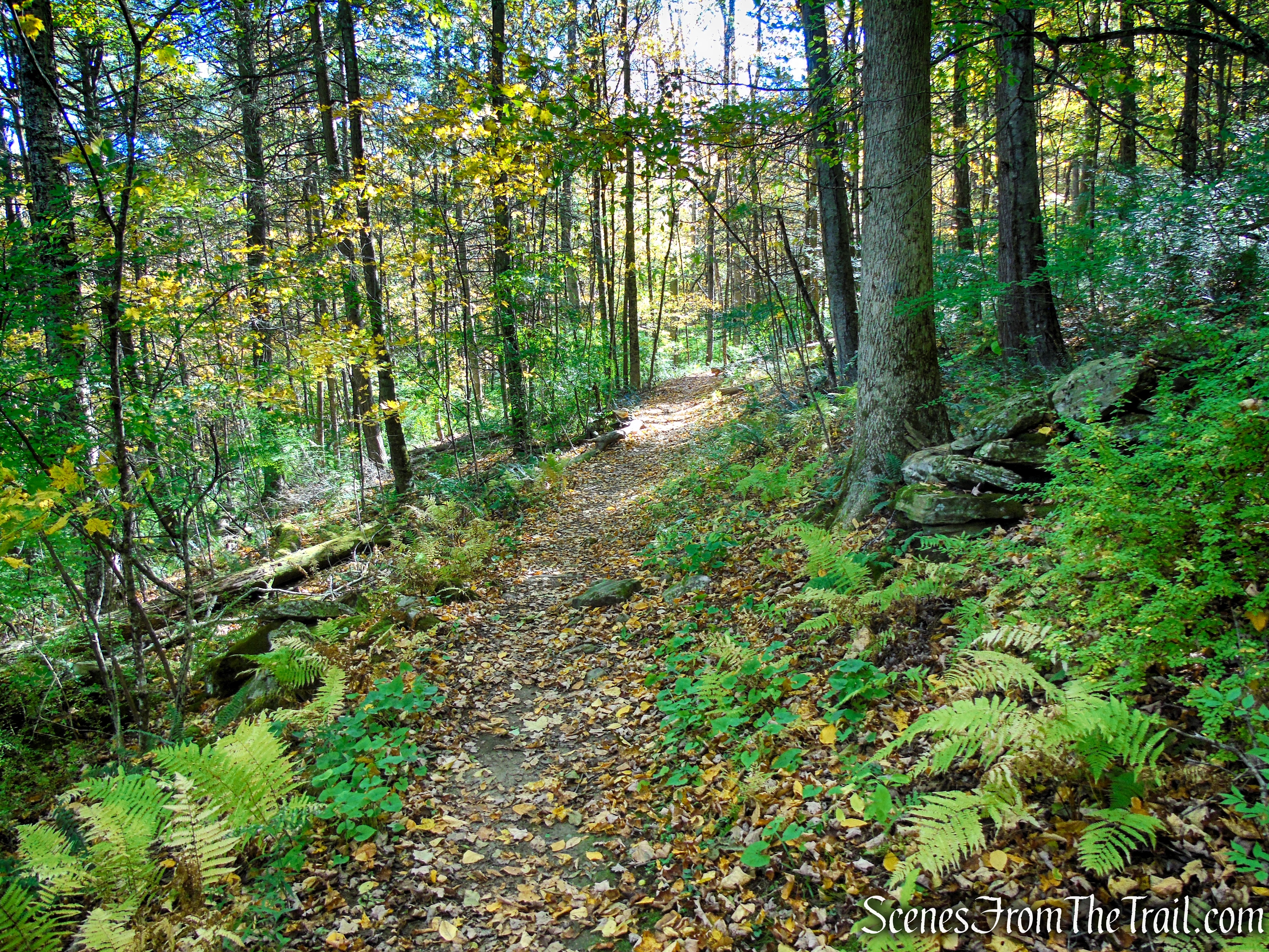 Cobble Loop Trail