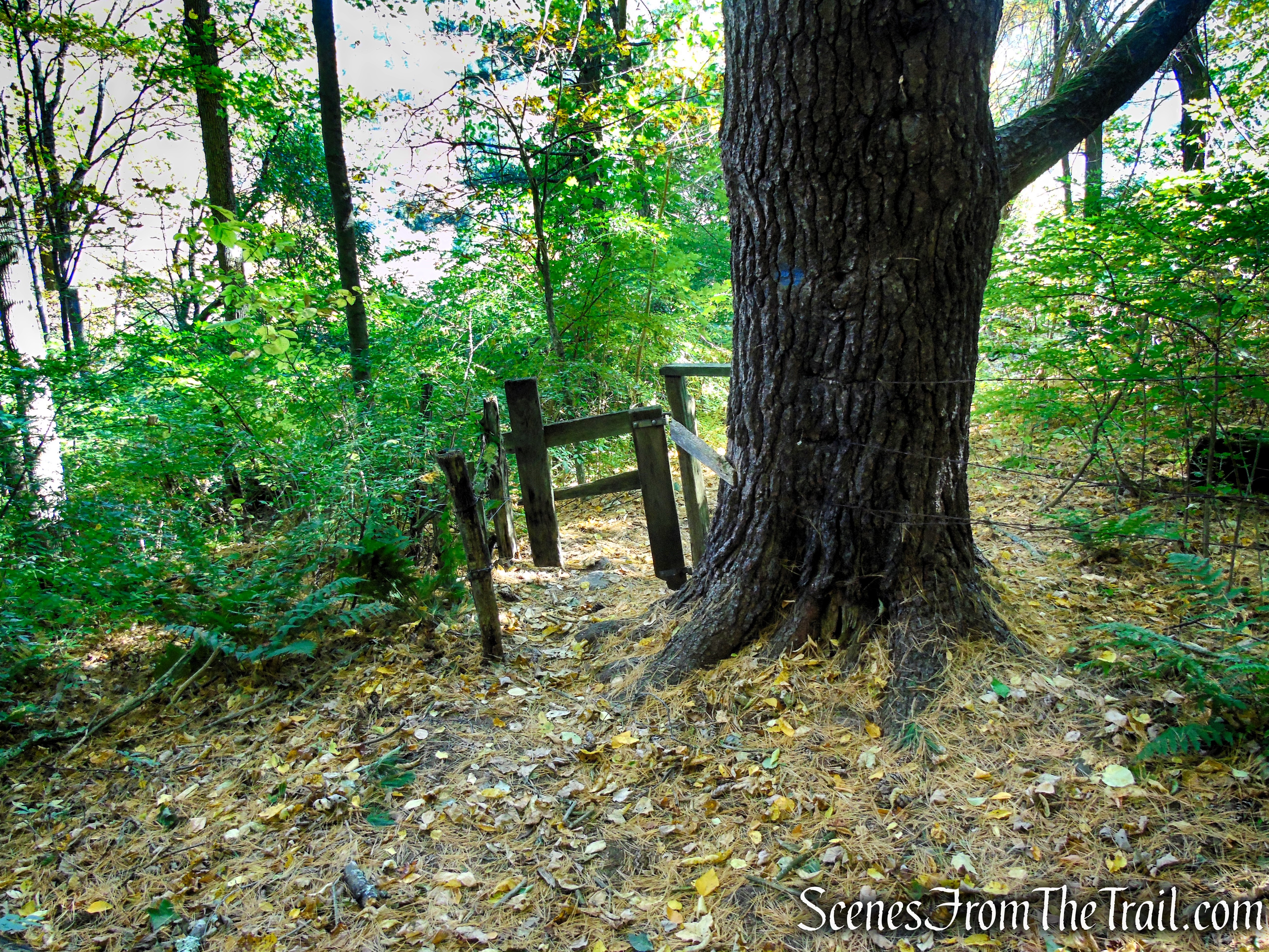 Cobble Loop Trail
