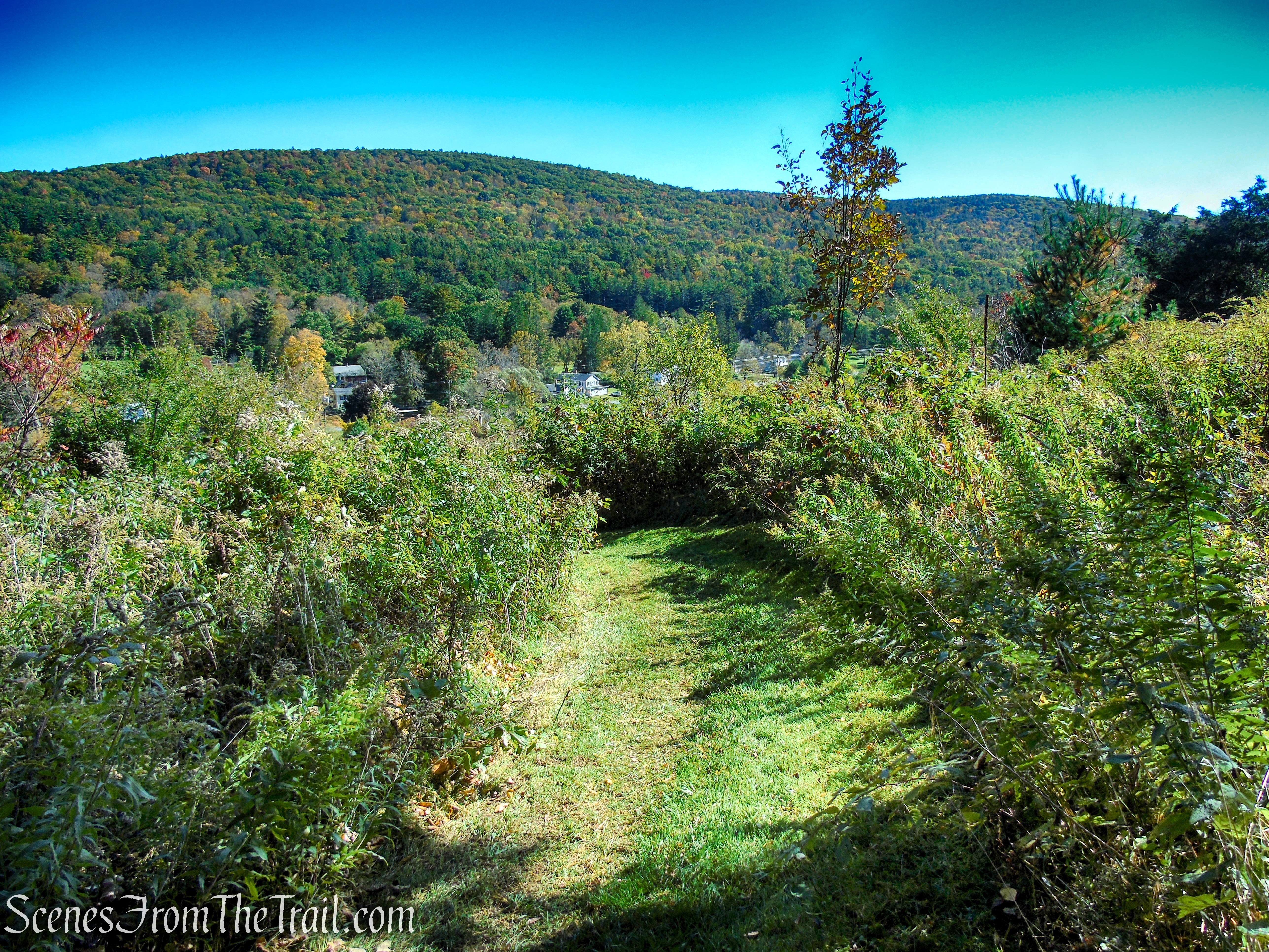 Cobble Loop Trail