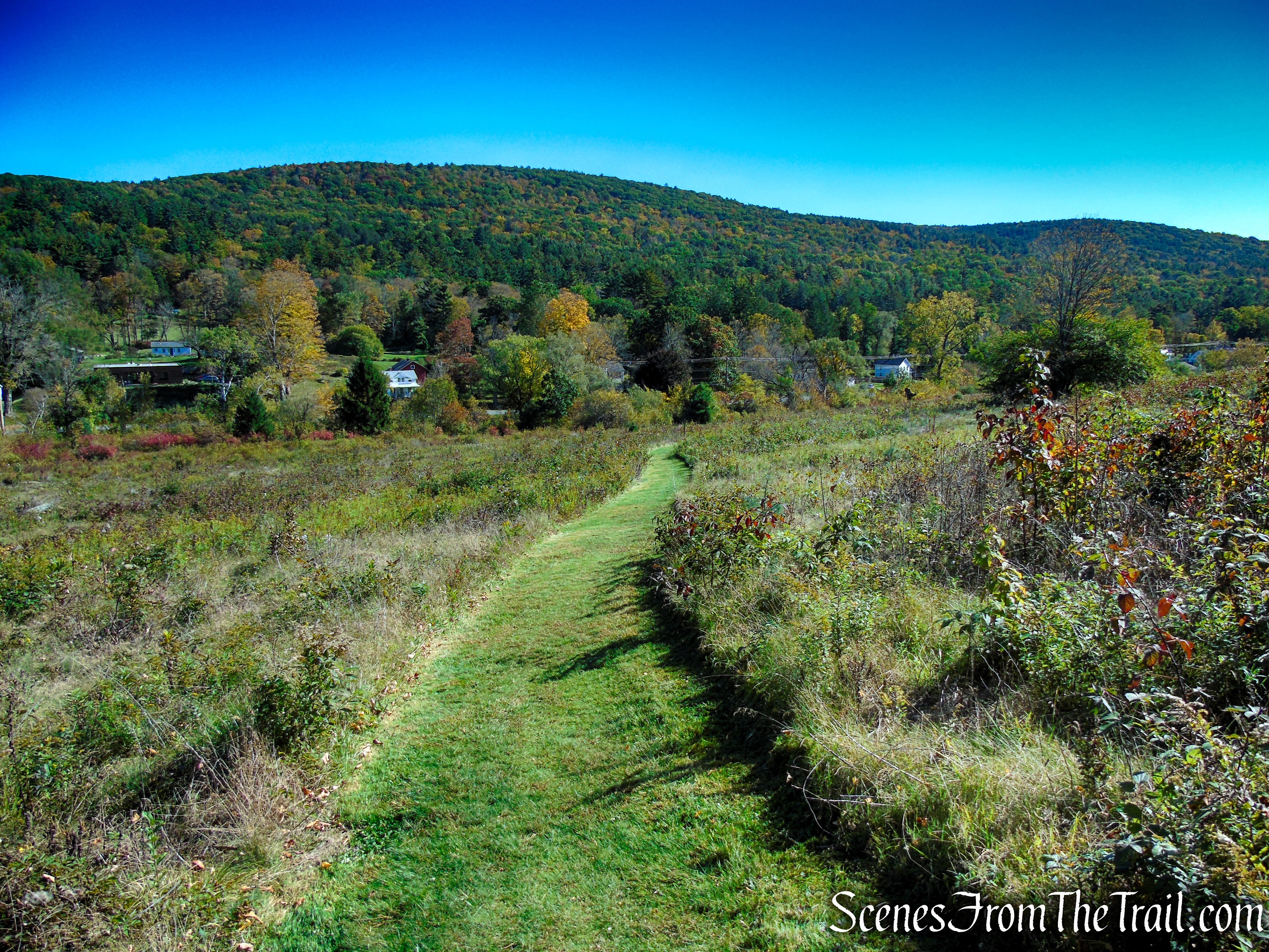 Cobble Loop Trail