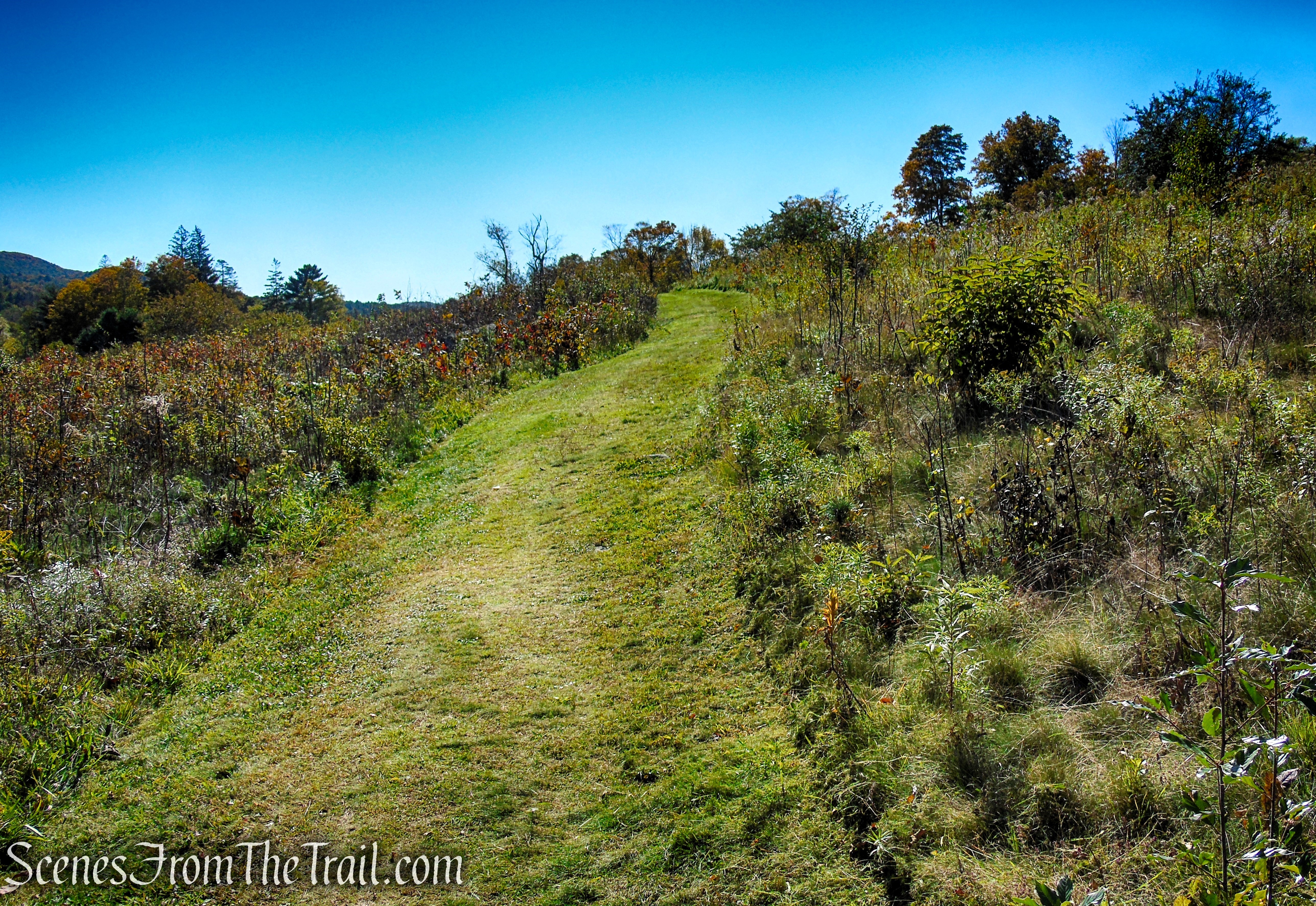 Cobble Loop Trail