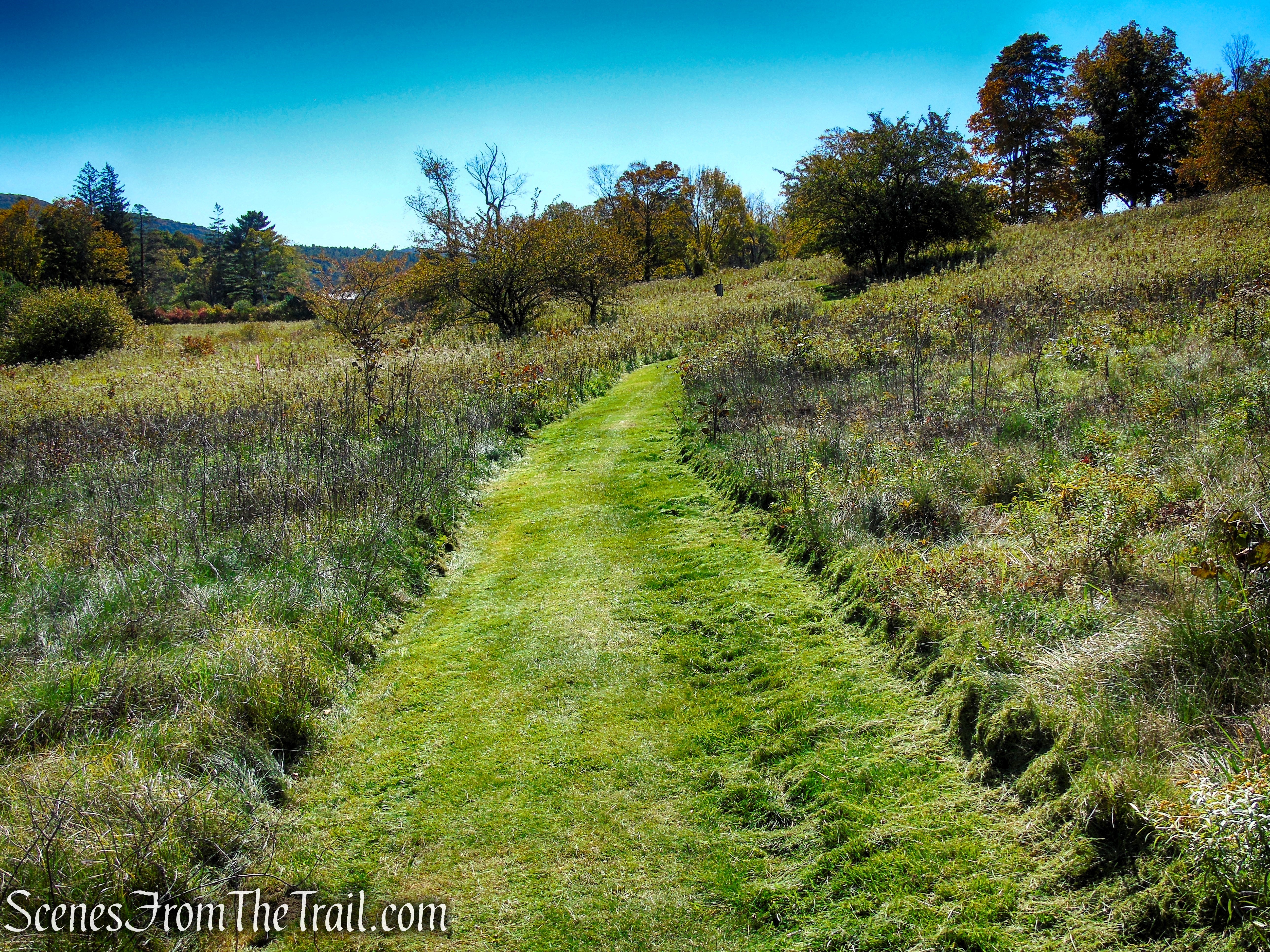 Cobble Loop Trail