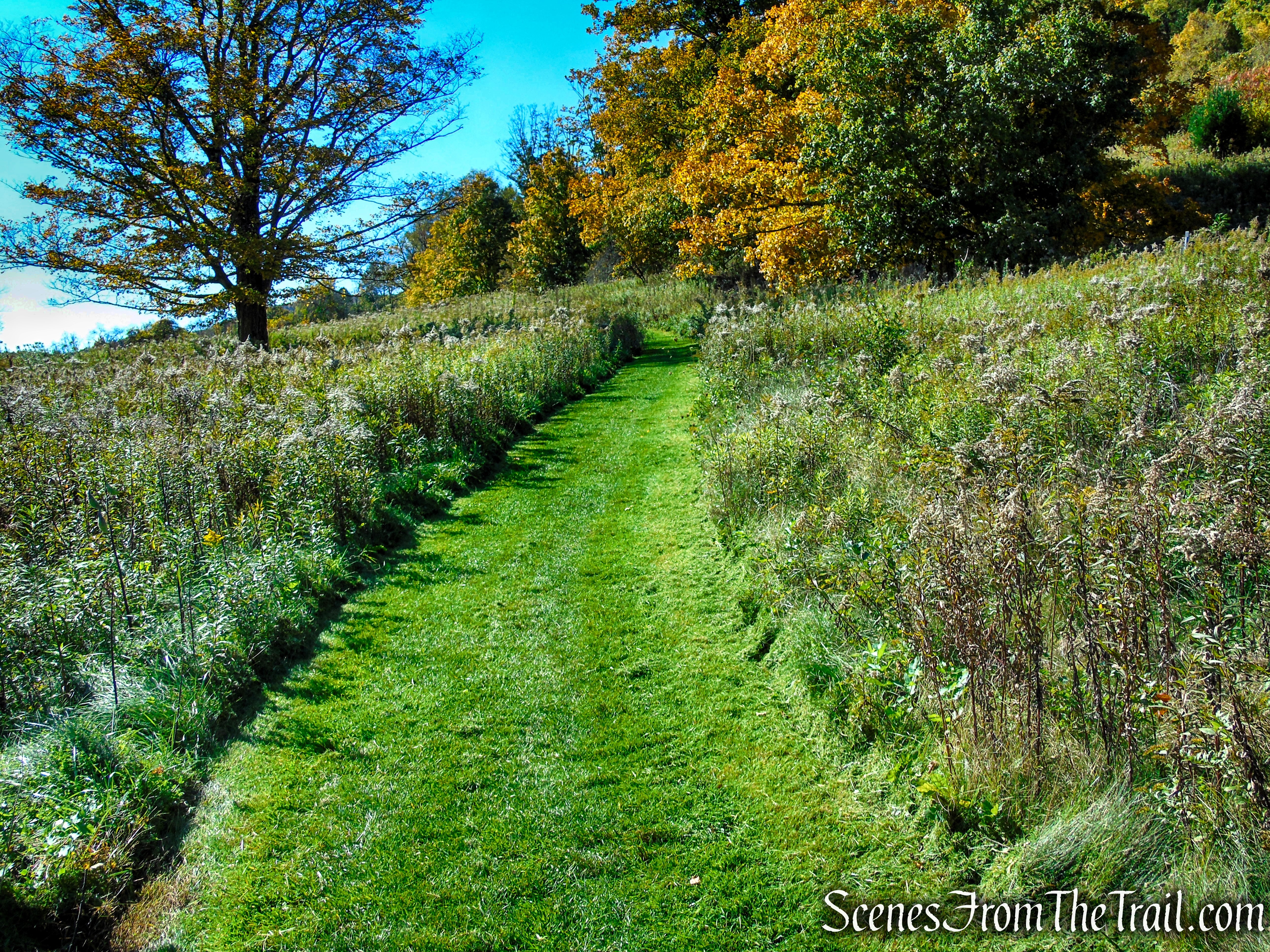 Cobble Loop Trail
