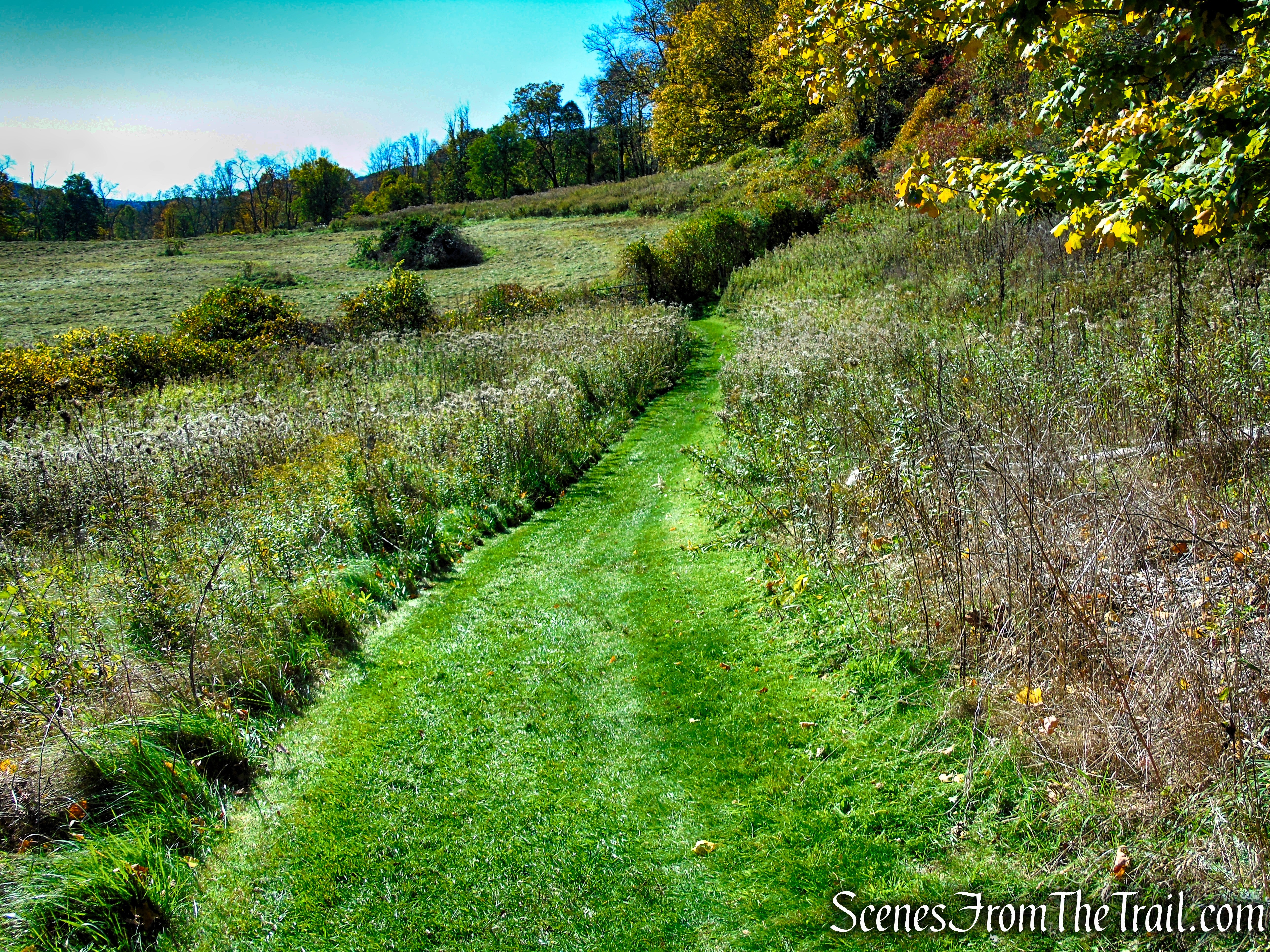 Cobble Loop Trail