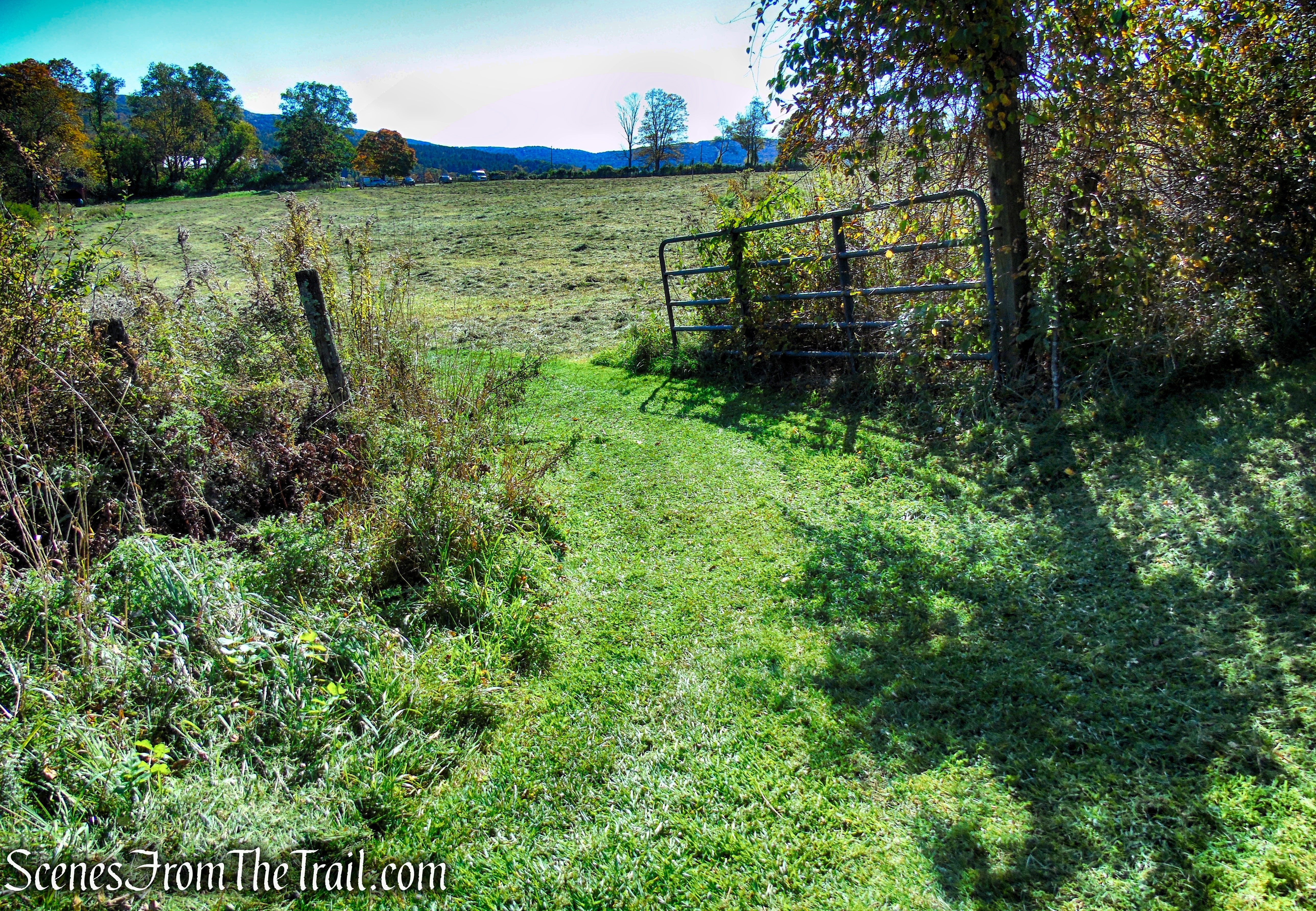 Cobble Loop Trail
